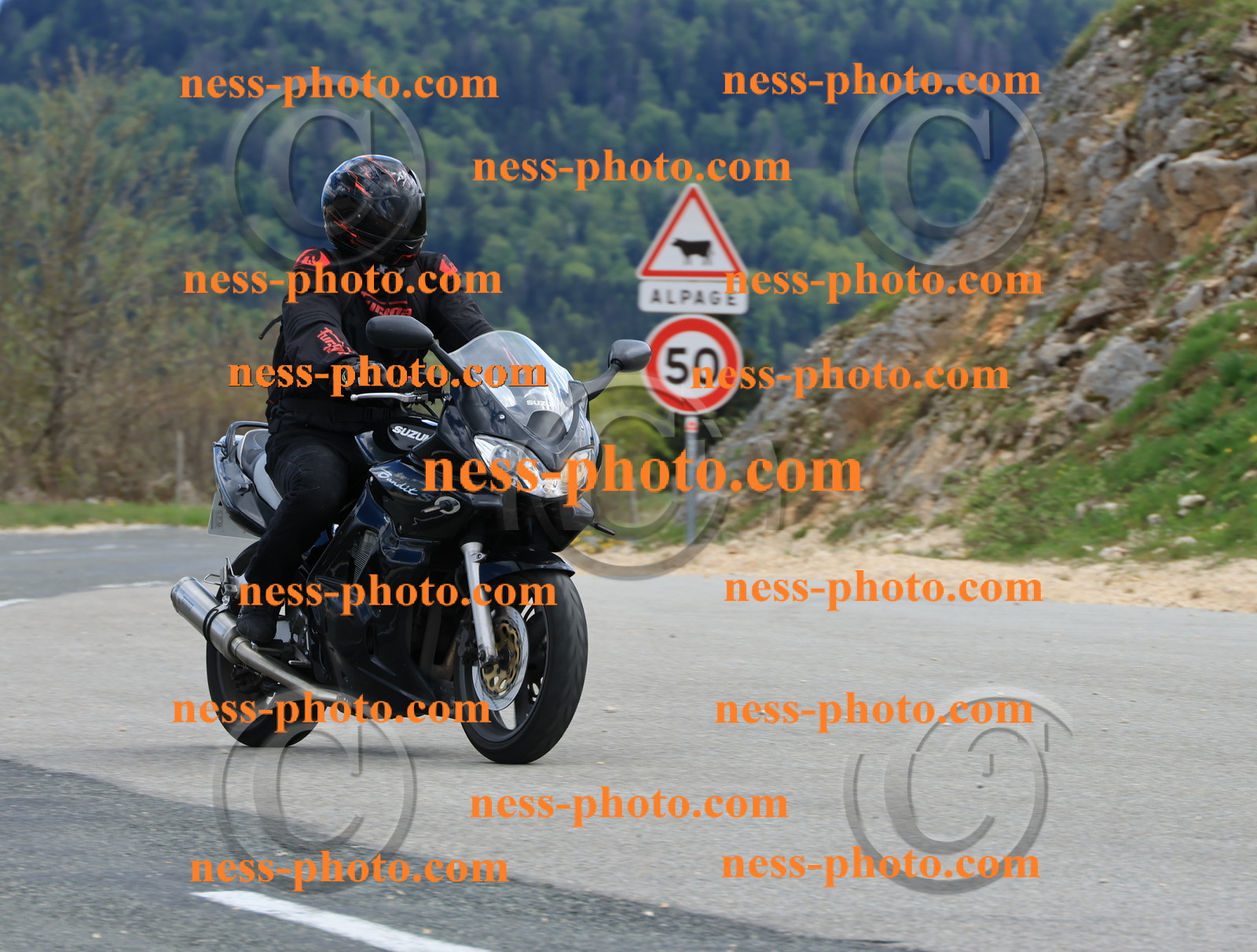 Col du Grand Colombier (153).JPG