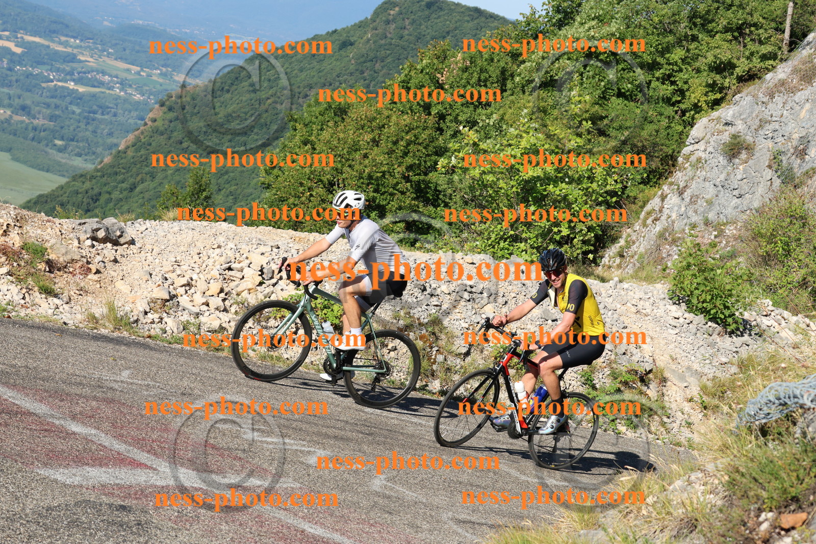 Col du Grand Colombier (712).JPG