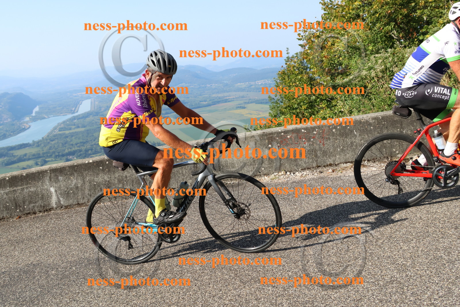 Col du Grand Colombier (1164).JPG