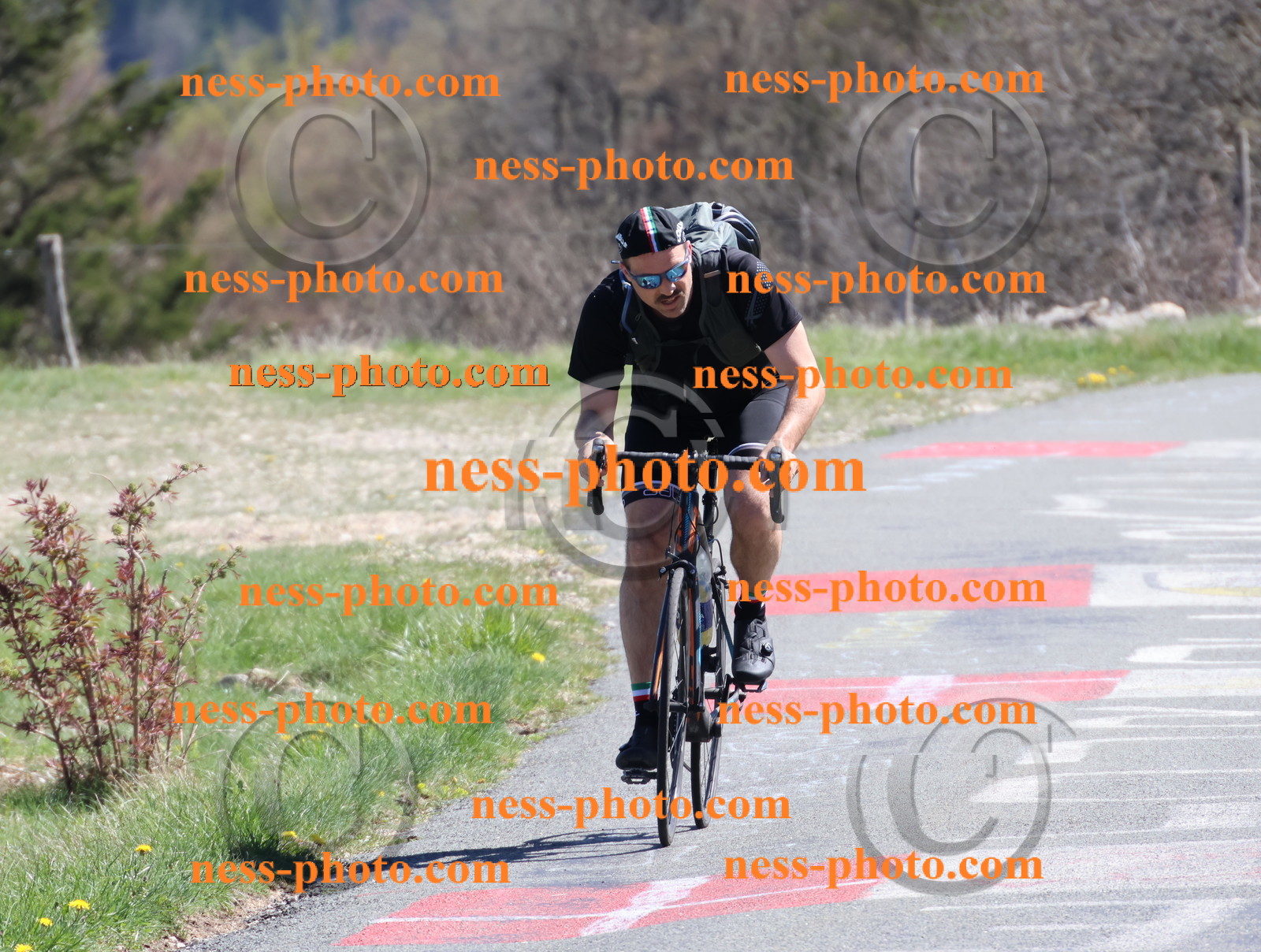 Col du Grand Colombier (965).JPG