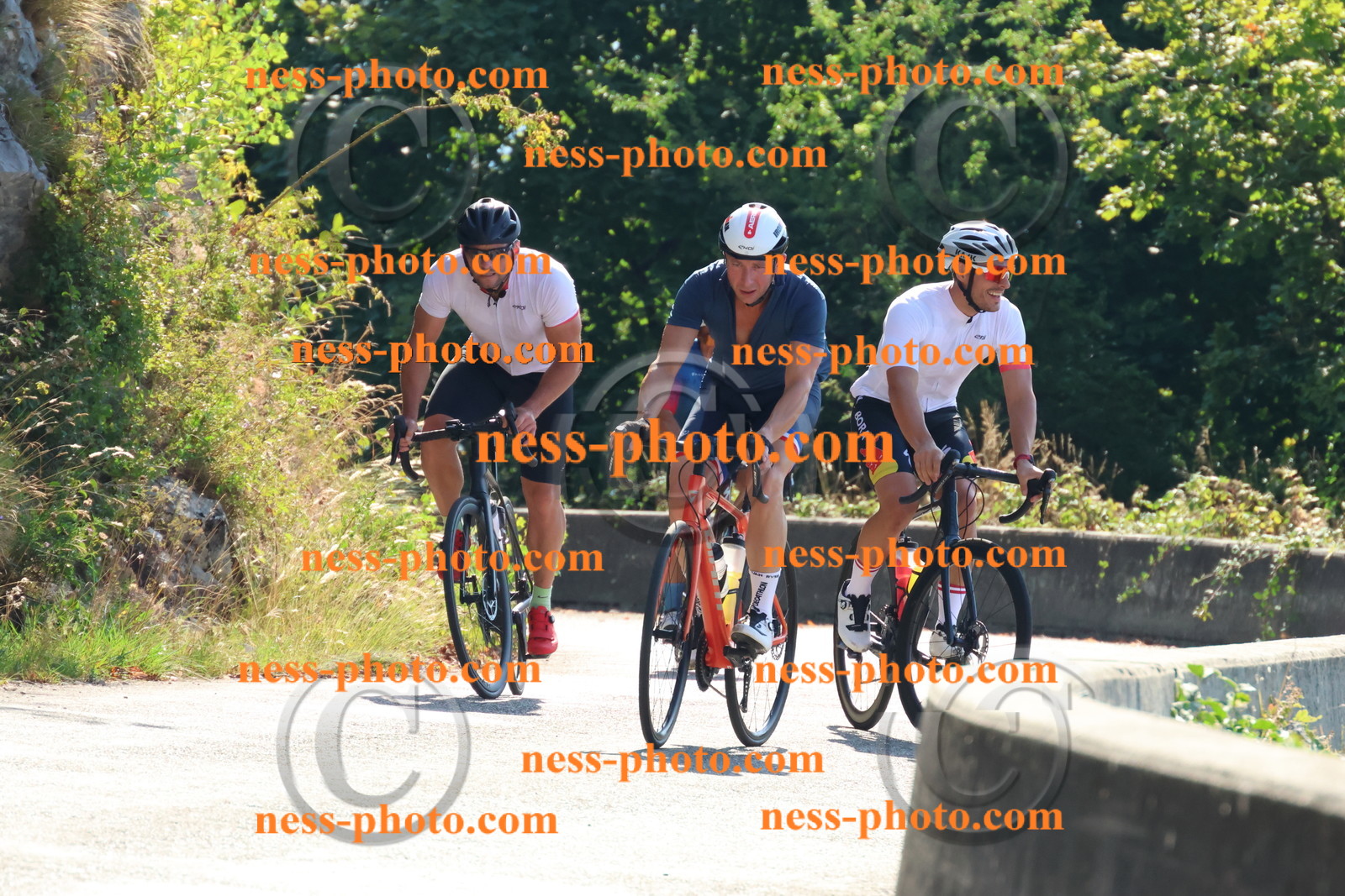 Col du Grand Colombier (27).JPG