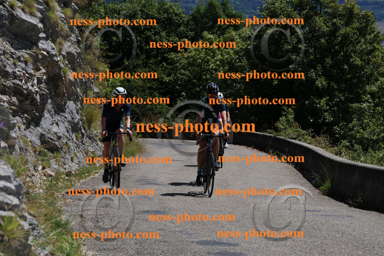 Col du Grand Colombier (275).JPG