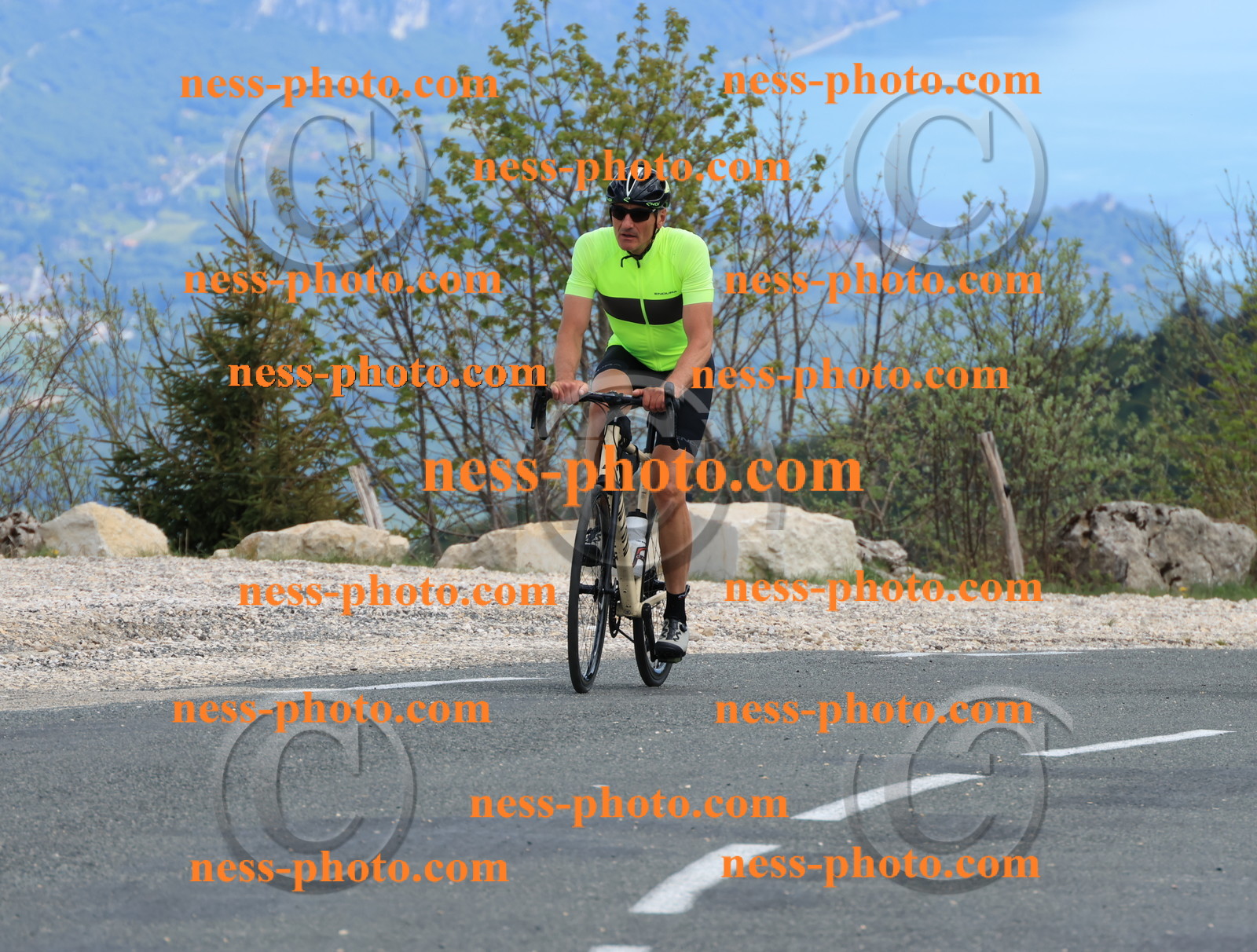 Col du grand Colombier (666).JPG