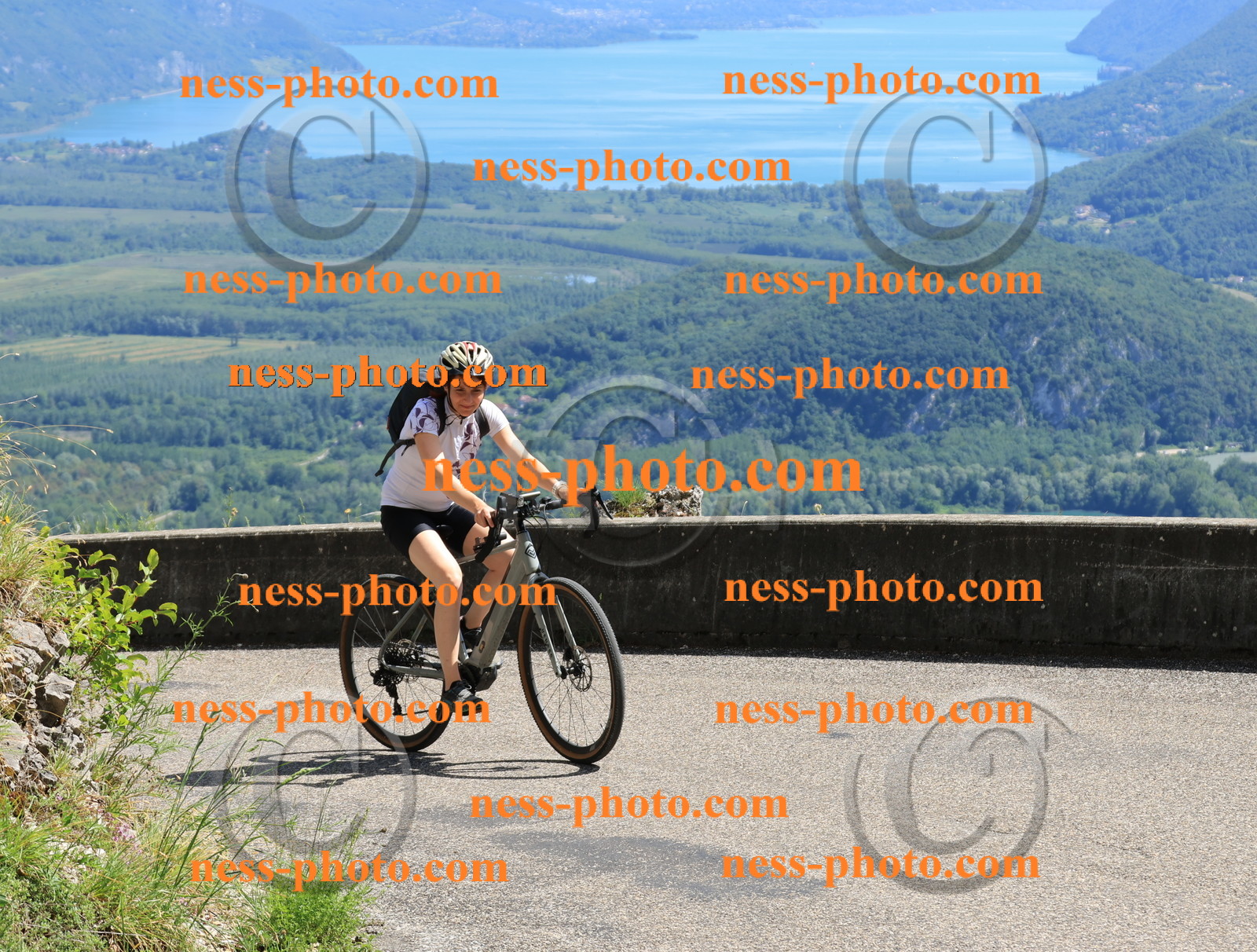 Col du Grand Colombier (720).JPG