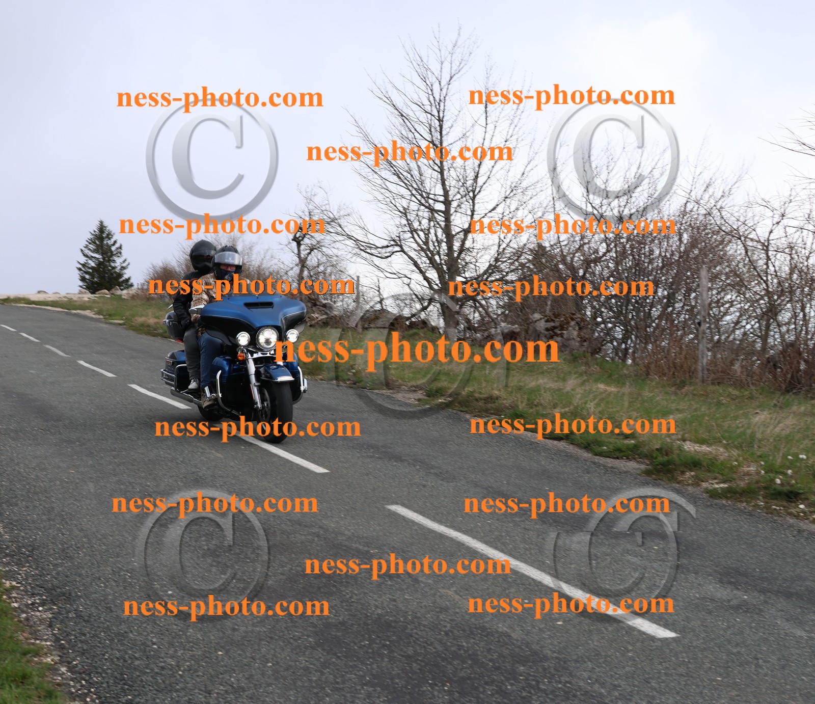 Col du Grand Colombier (91).JPG