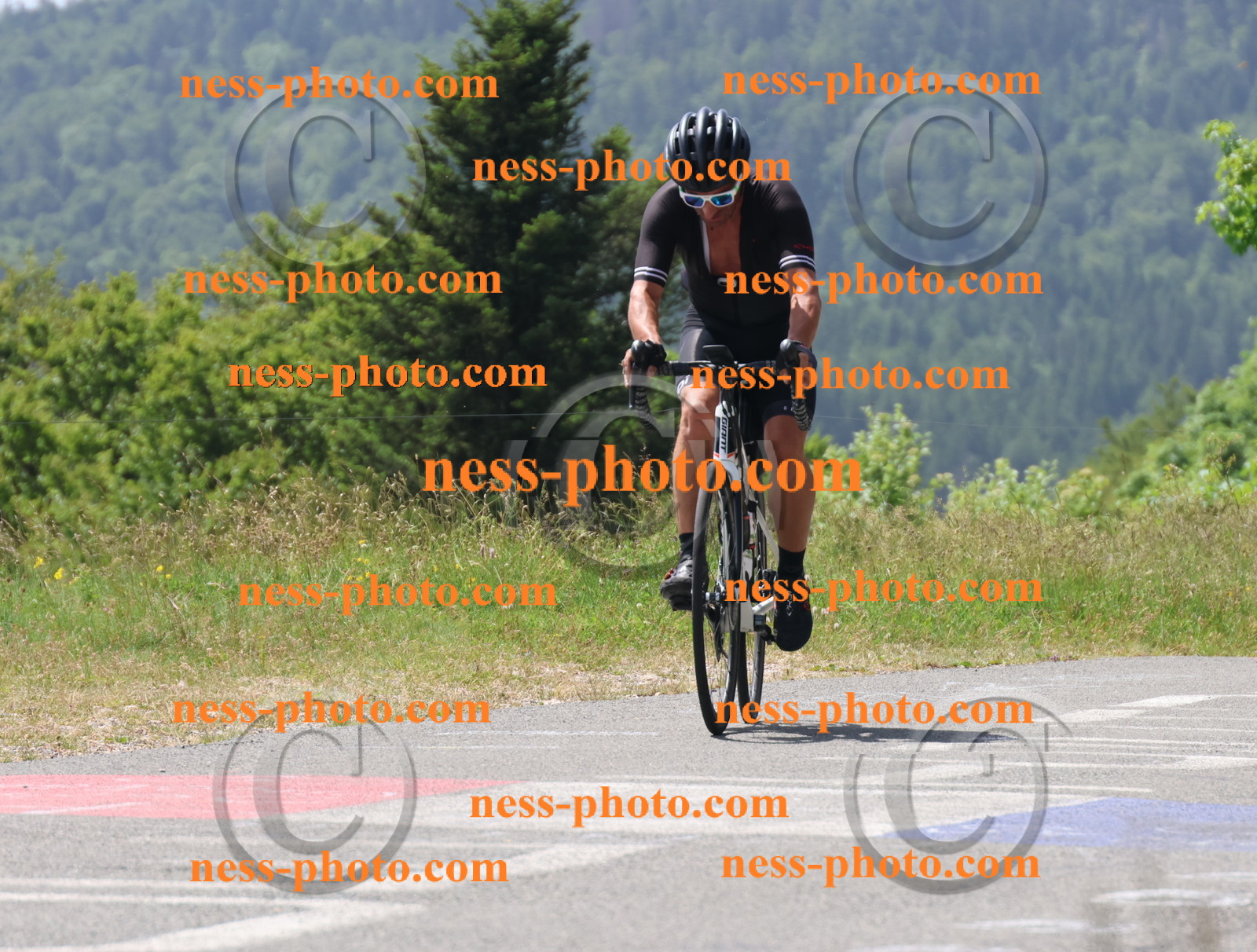 Col du grand Colombier (2194).JPG