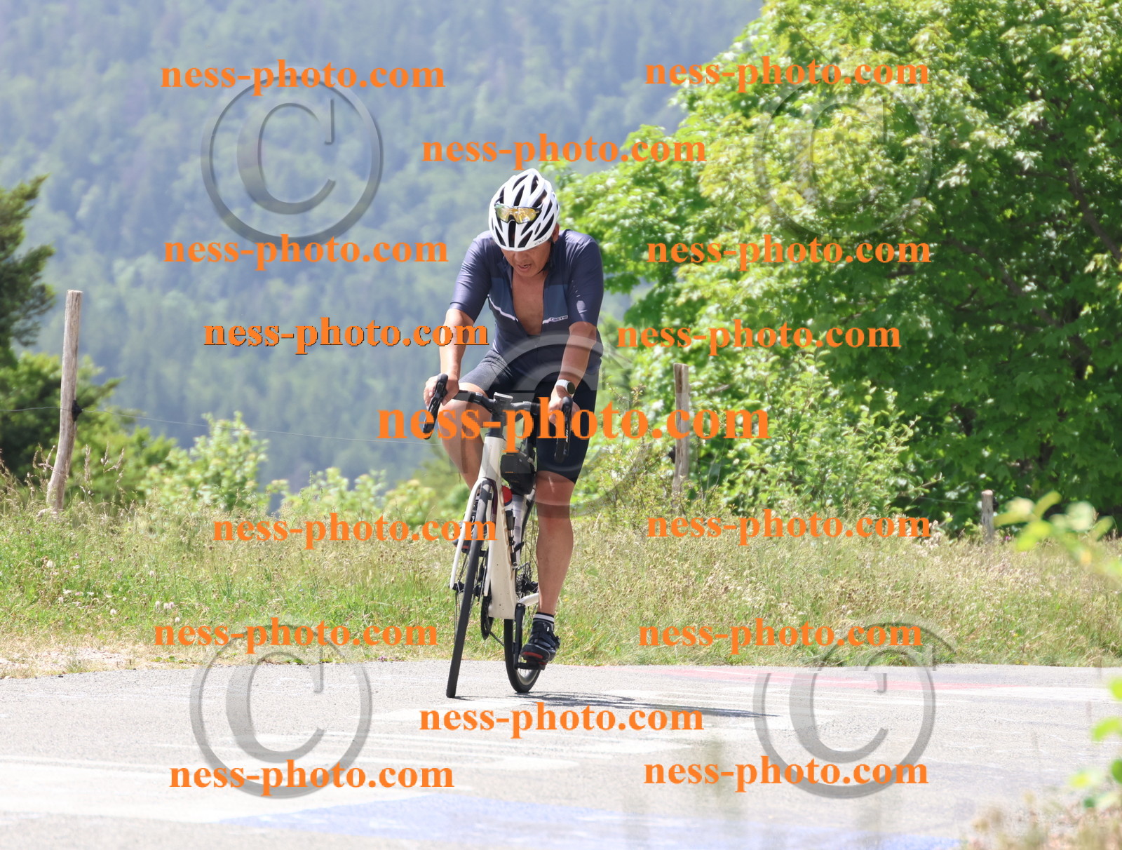 Col du grand Colombier (2107).JPG