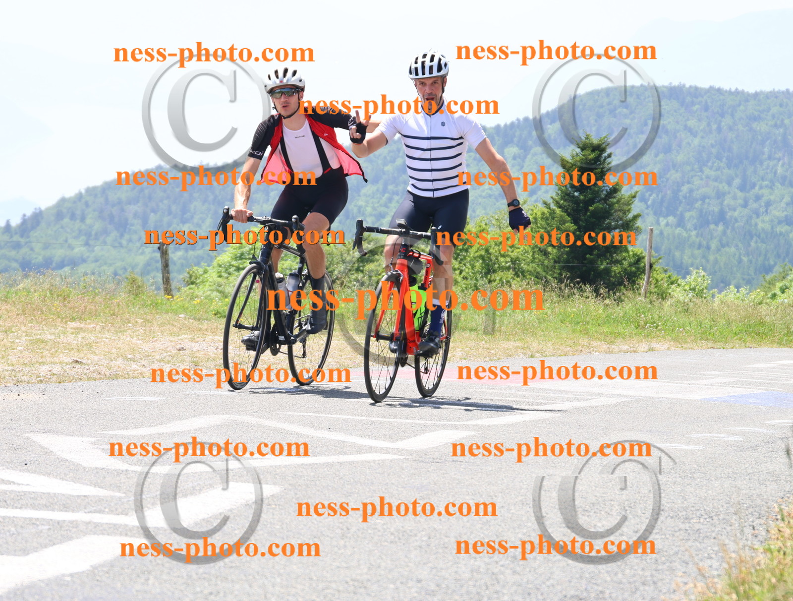 Col du grand Colombier (2597).JPG