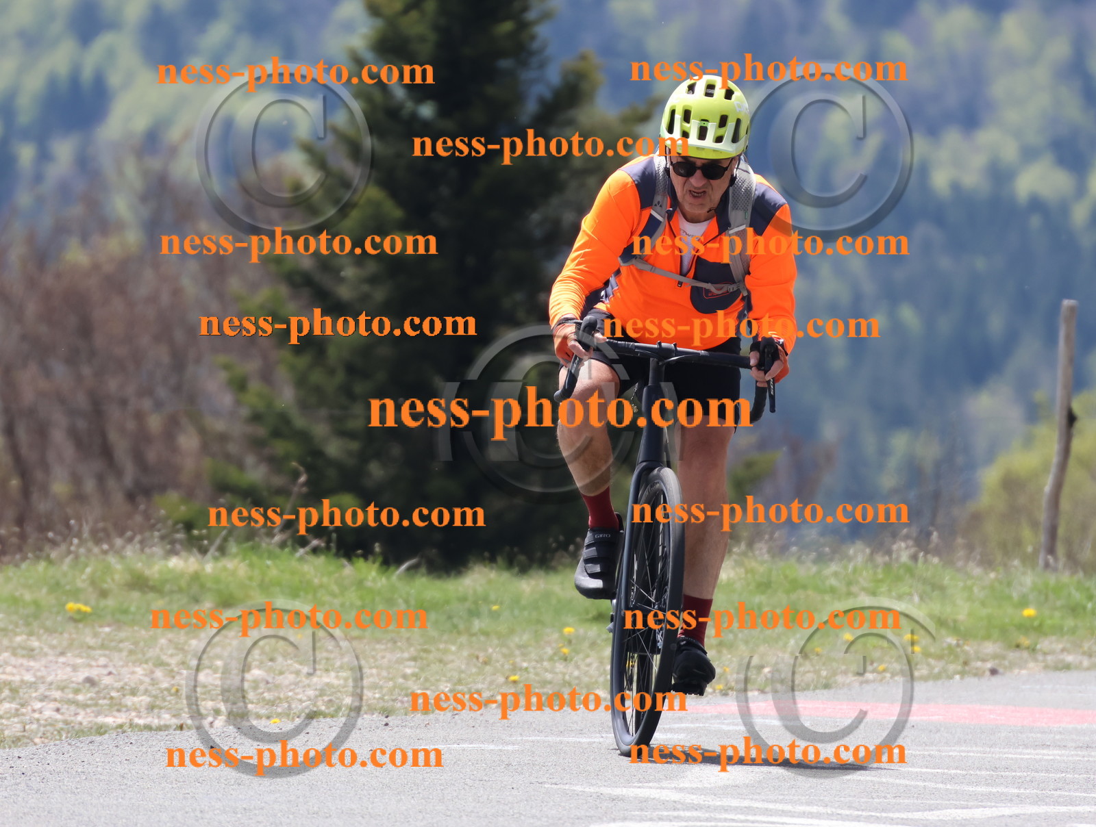 Col du Grand Colombier (159).JPG