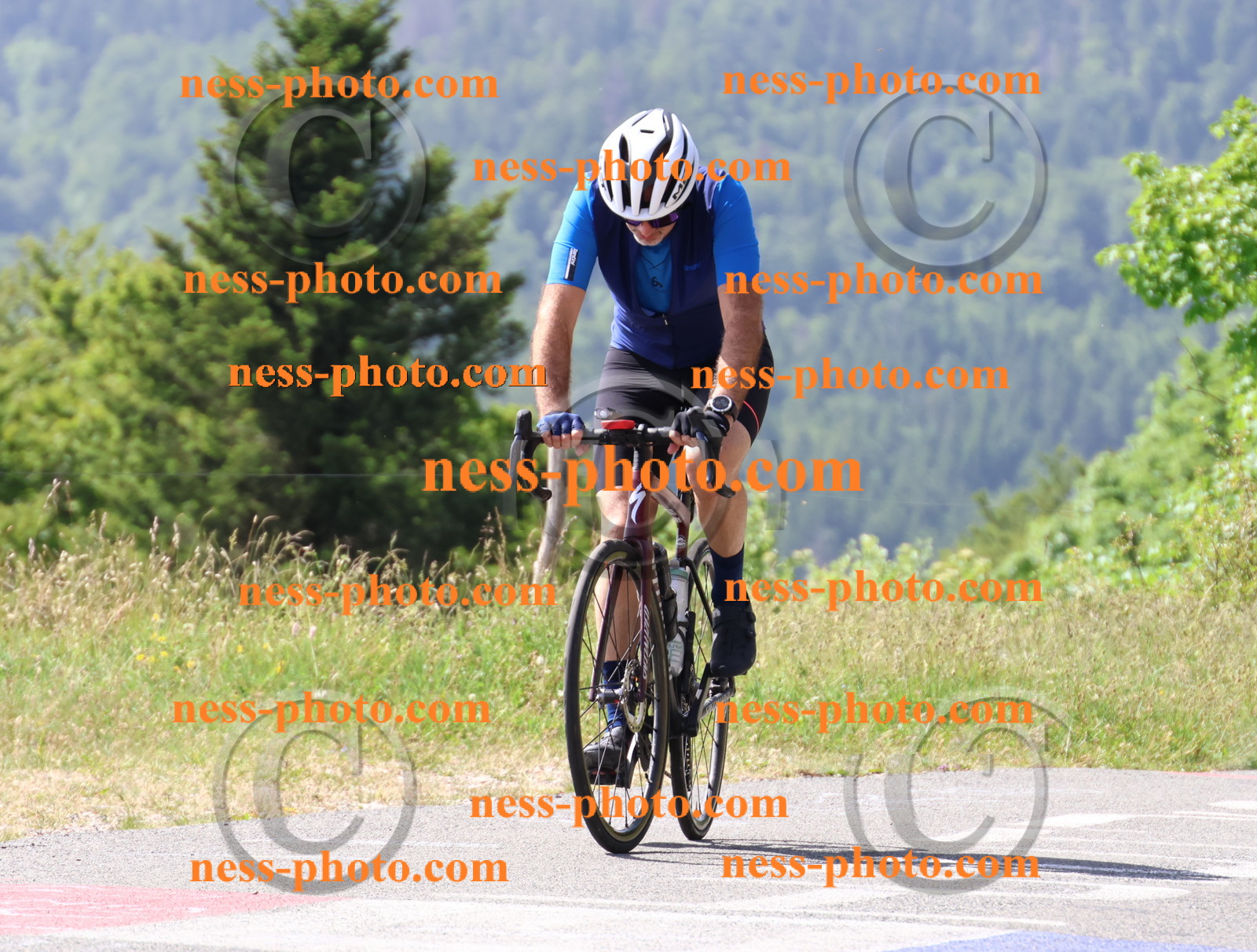 Col du grand Colombier (1138).JPG