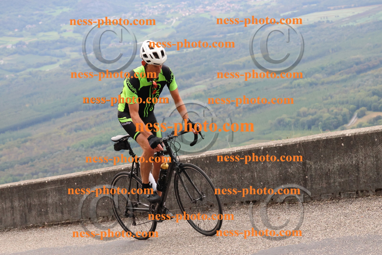 Col du Grand Colombier (180).JPG