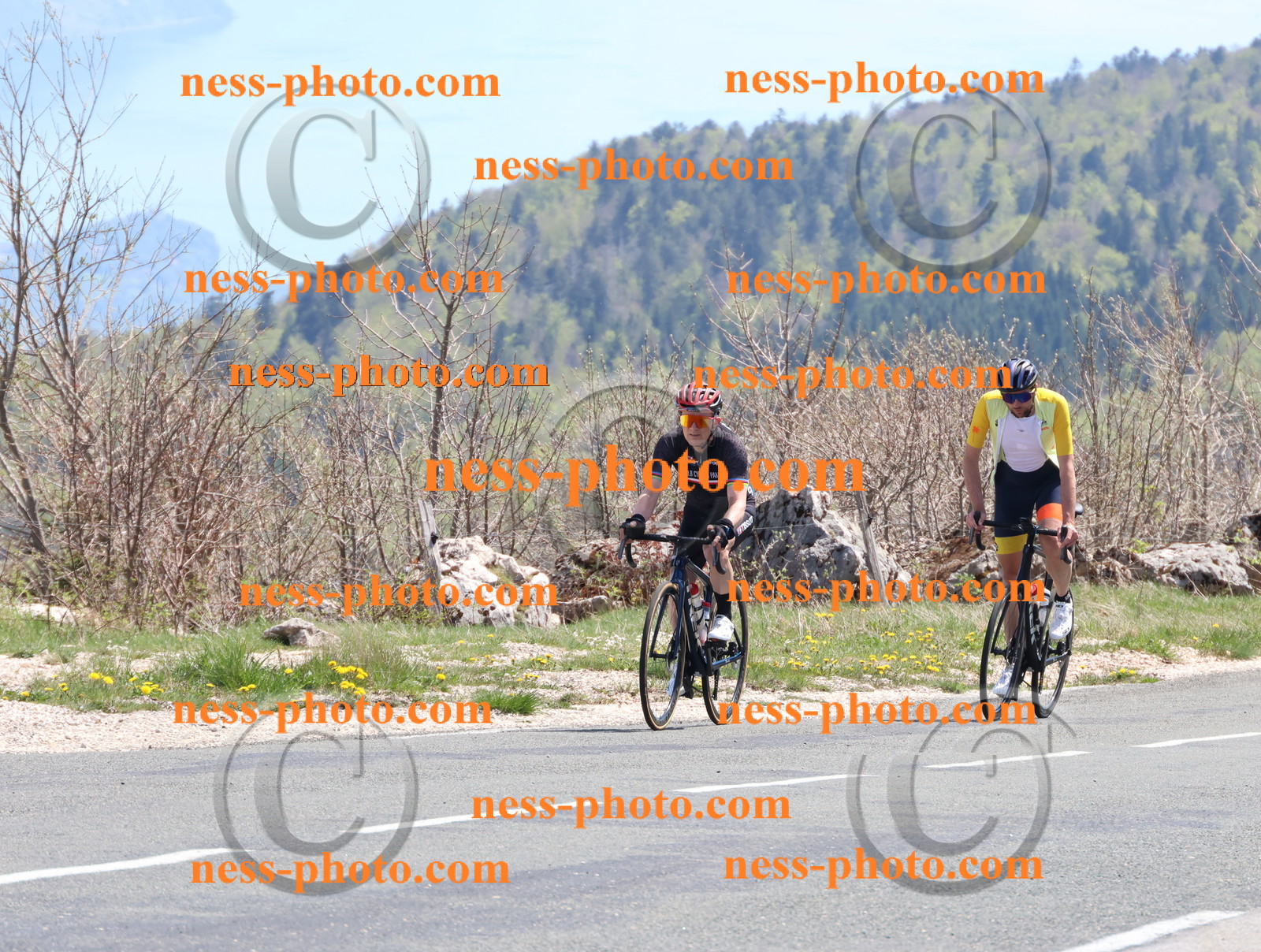 Col du Grand Colombier (866).JPG