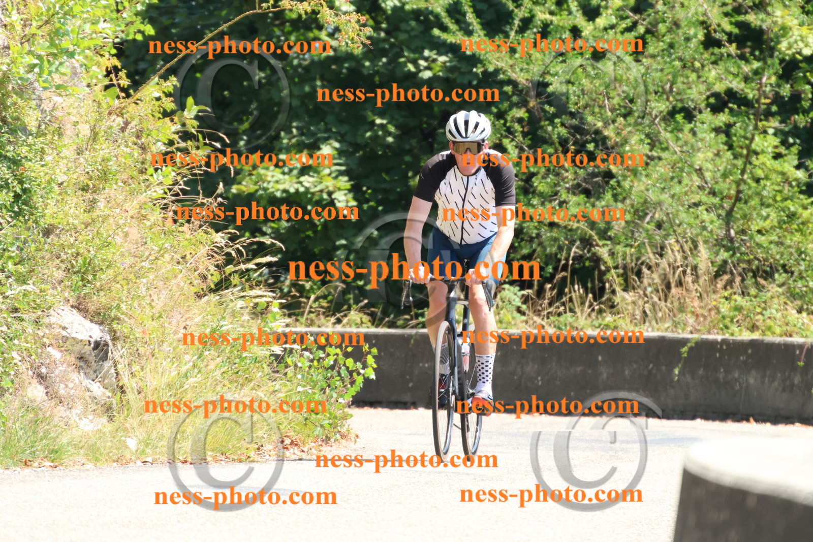Col du Grand Colombier (492).JPG