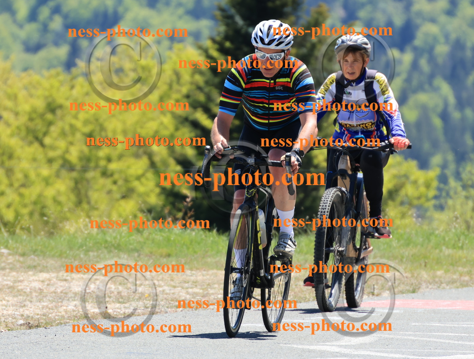 Col du Grand Colombier (427).JPG