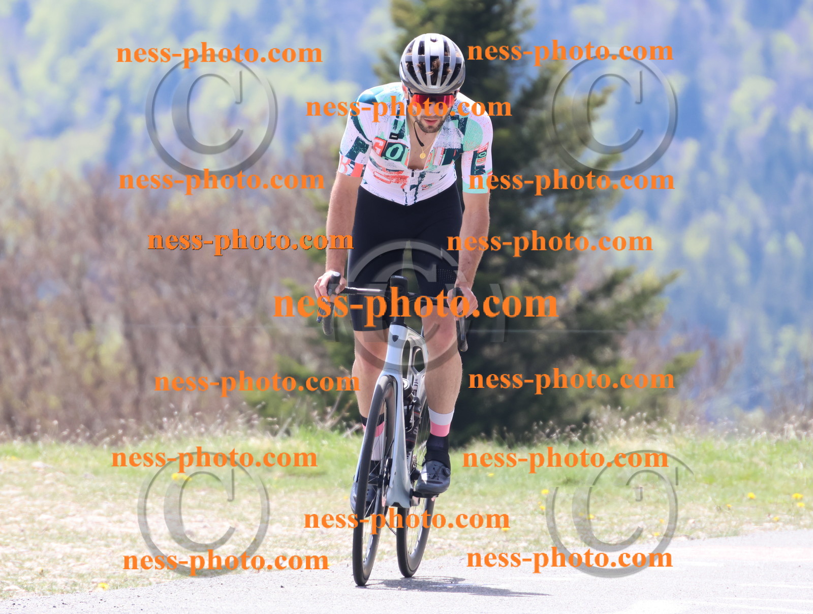 Col du Grand Colombier (214).JPG