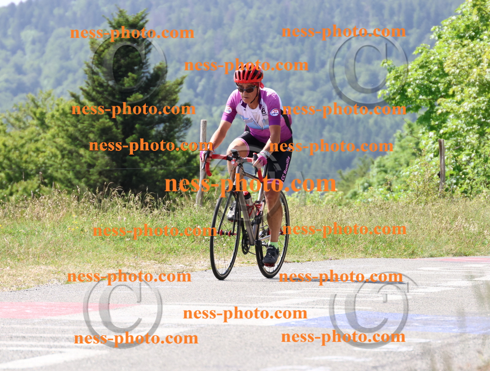 Col du grand Colombier (1264).JPG