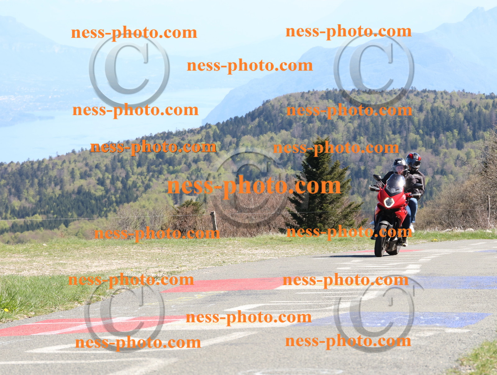 Col du Grand Colombier (368).JPG