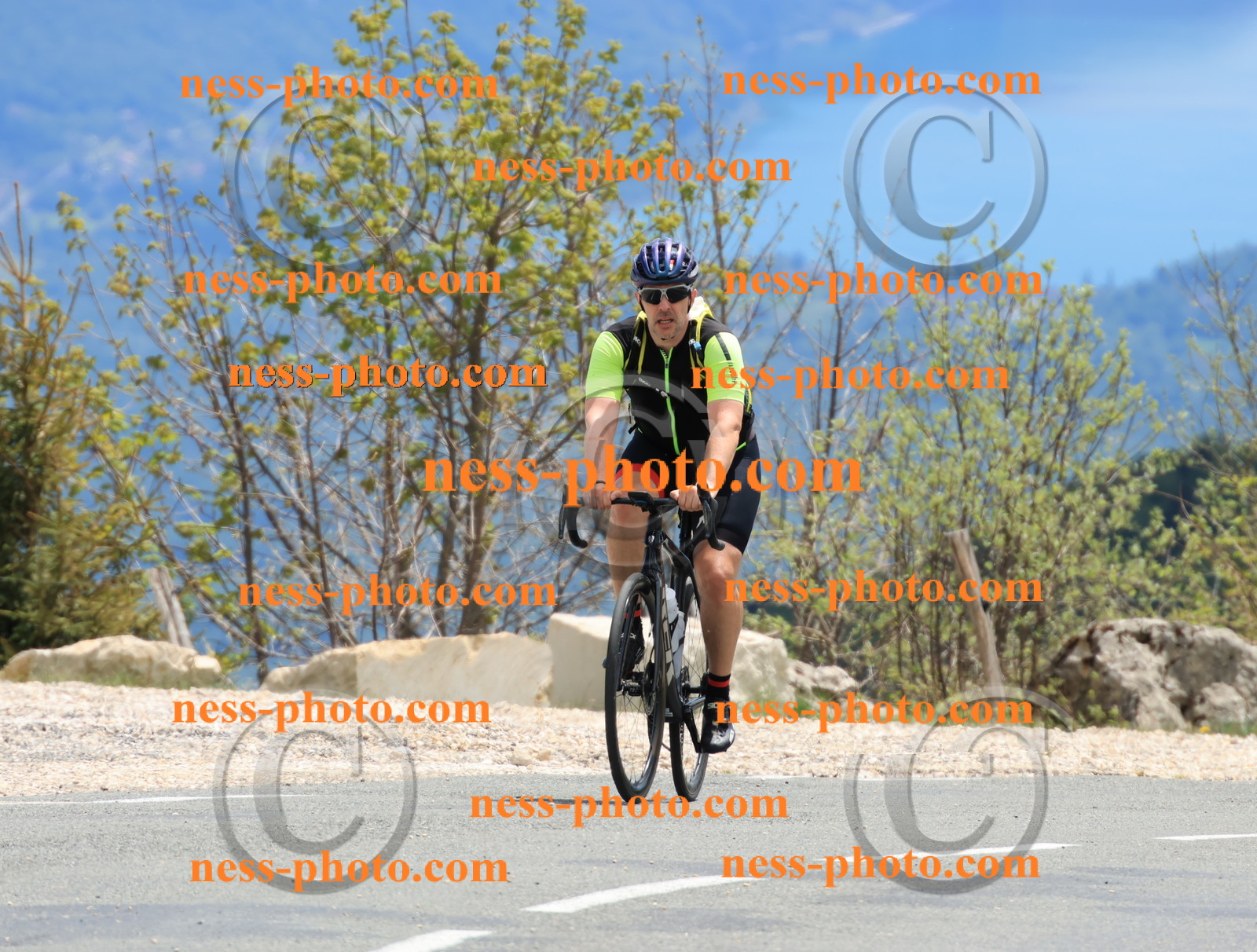 Col du grand Colombier (510).JPG