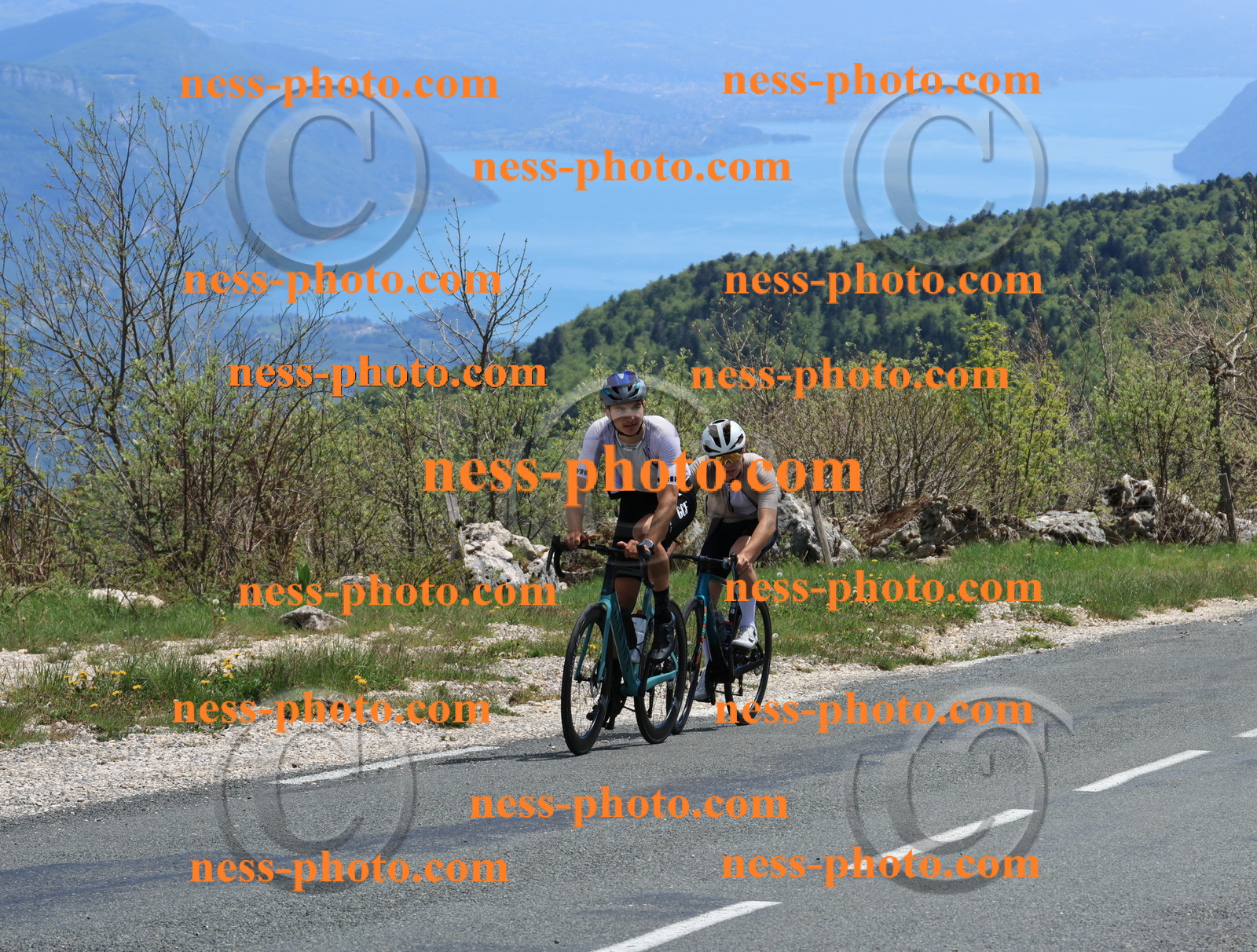 Col du Grand Colombier (542).JPG