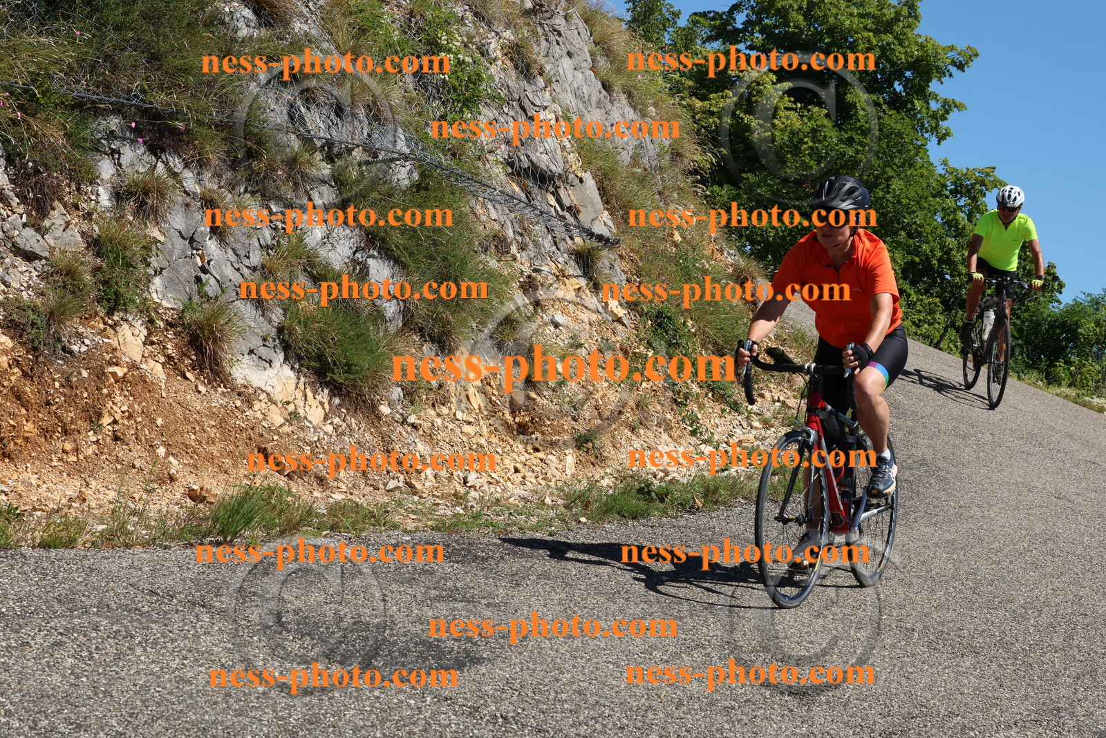 Col du Grand Colombier (617).JPG