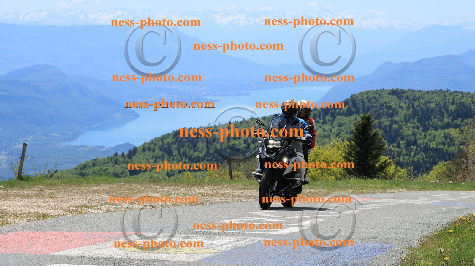 Col du Grand Colombier (42).JPG