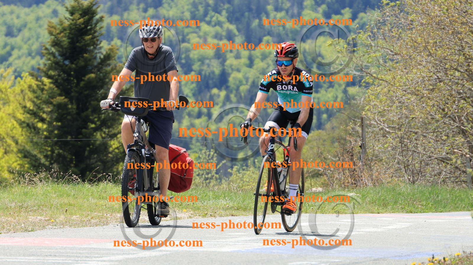 Col du grand Colombier (334).JPG