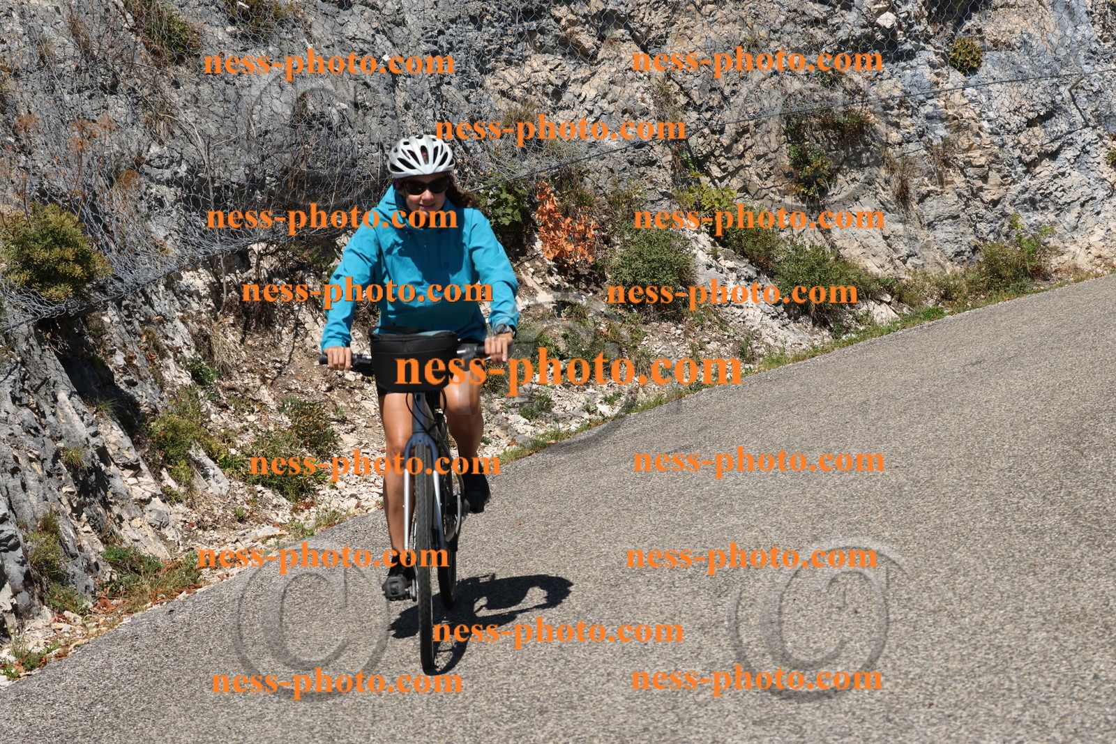 Col du Grand Colombier (372).JPG