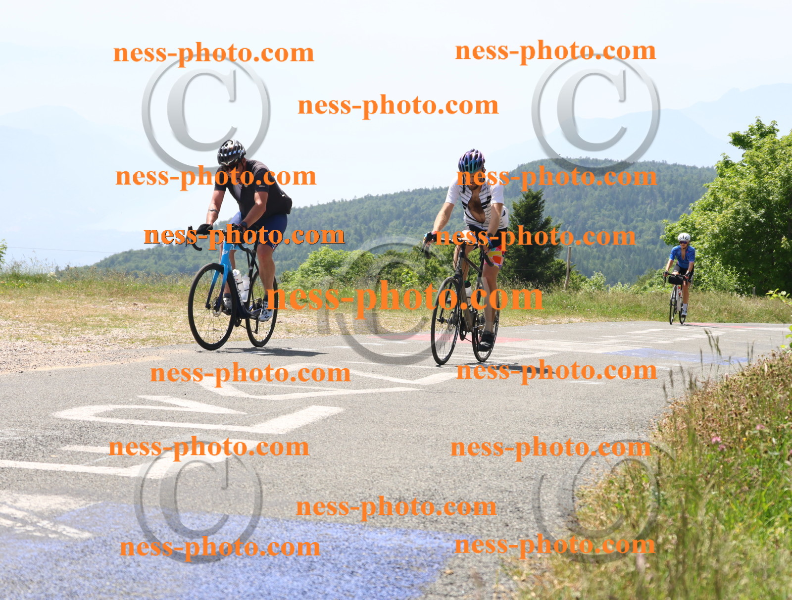 Col du grand Colombier (2344).JPG