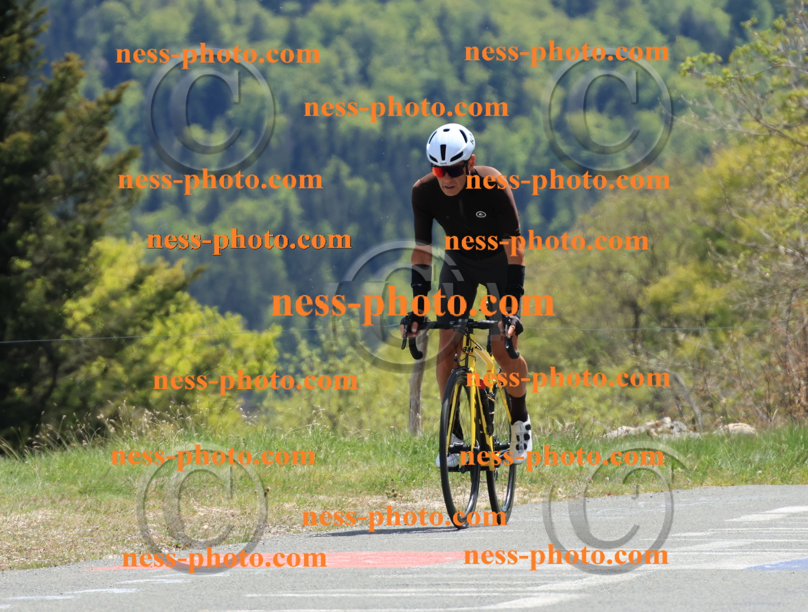 Col du Grand Colombier (502).JPG