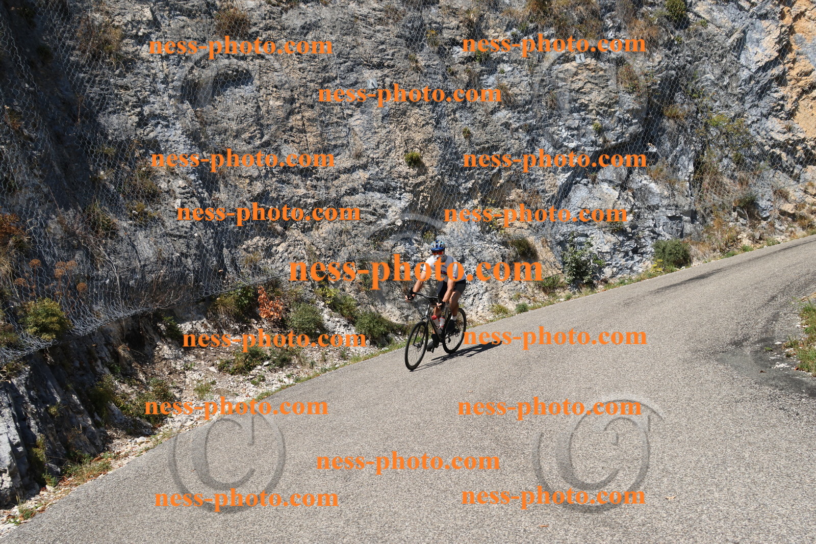 Col du Grand Colombier (486).JPG