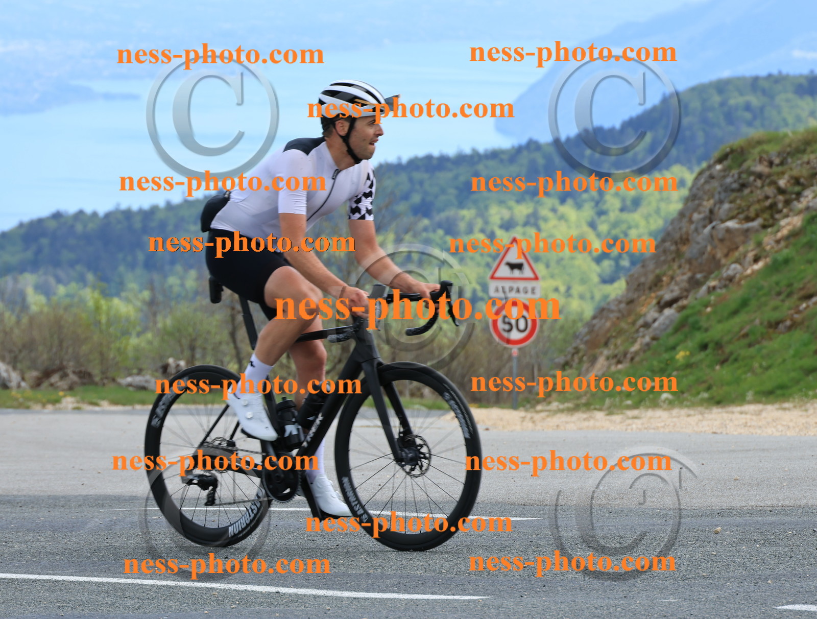 Col du grand Colombier (683).JPG