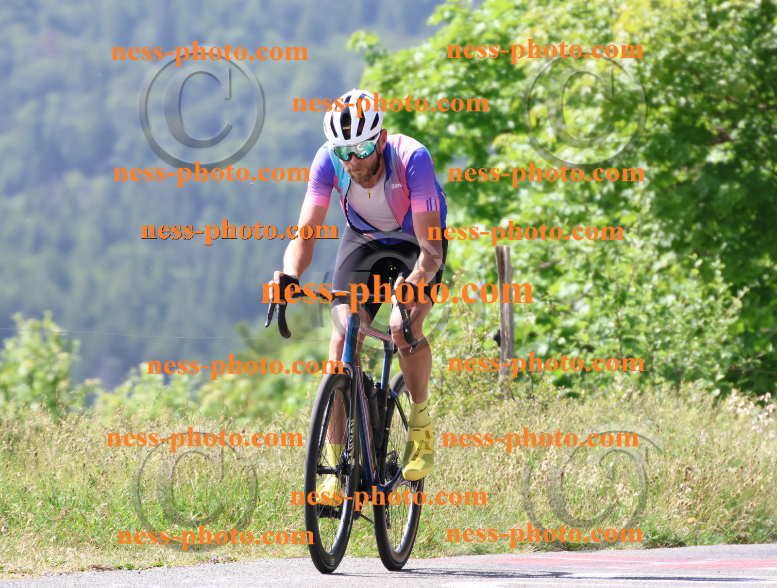 Col du grand Colombier (994).JPG