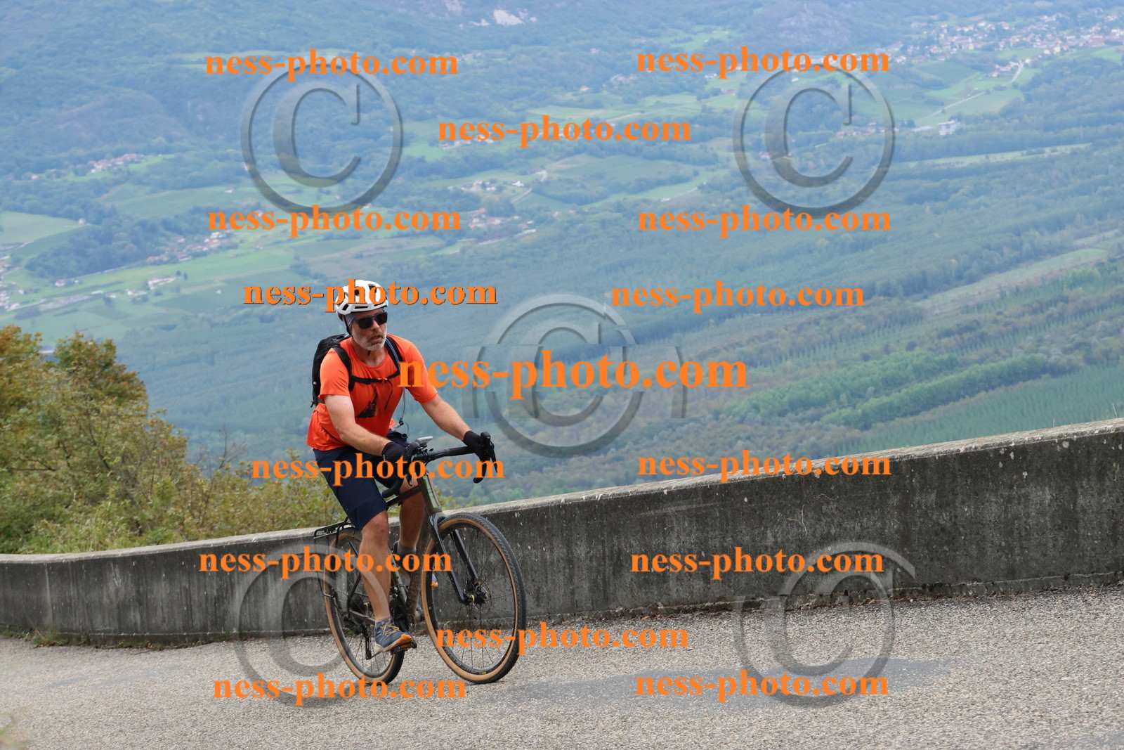 Col du Grand Colombier (987).JPG