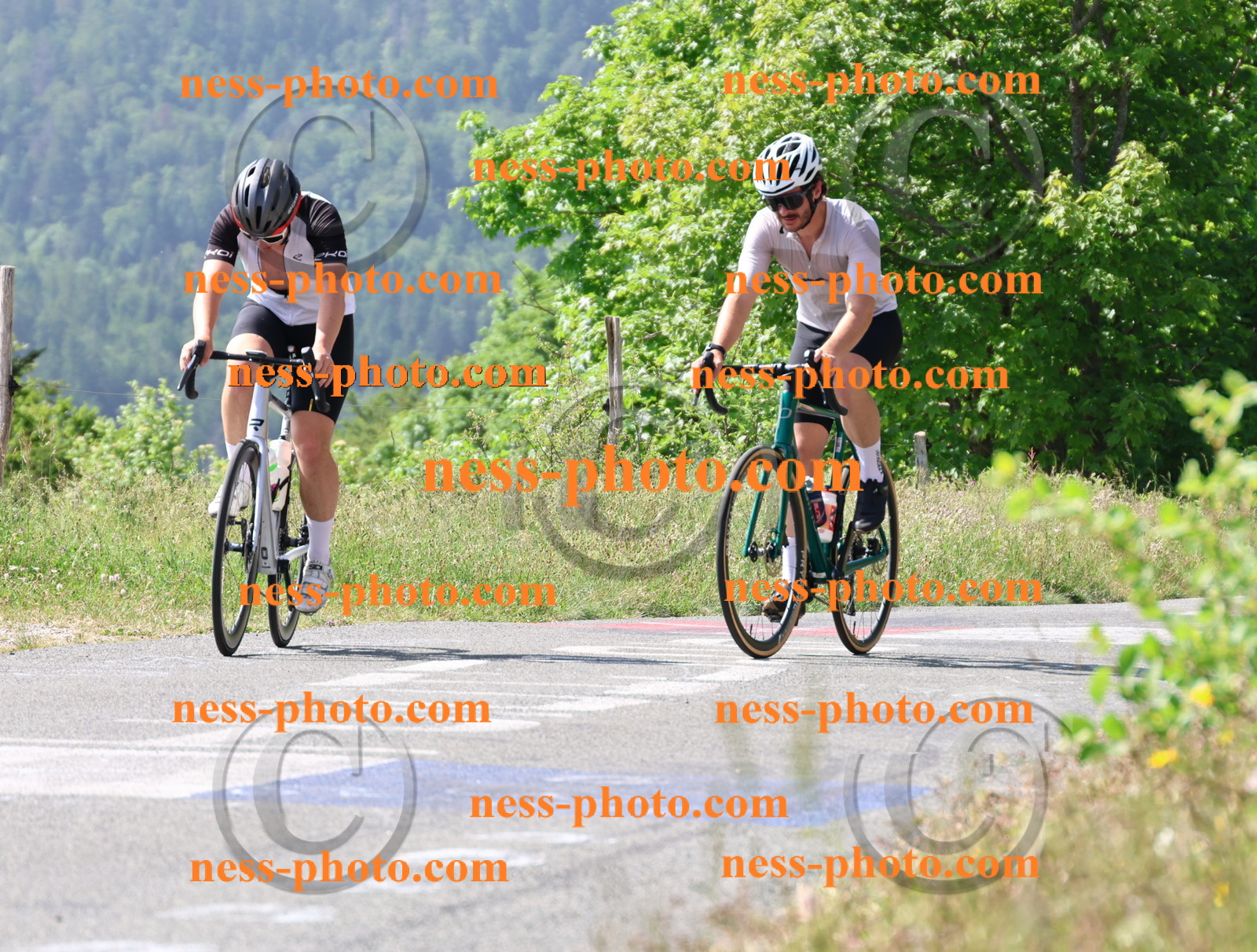 Col du grand Colombier (1016).JPG