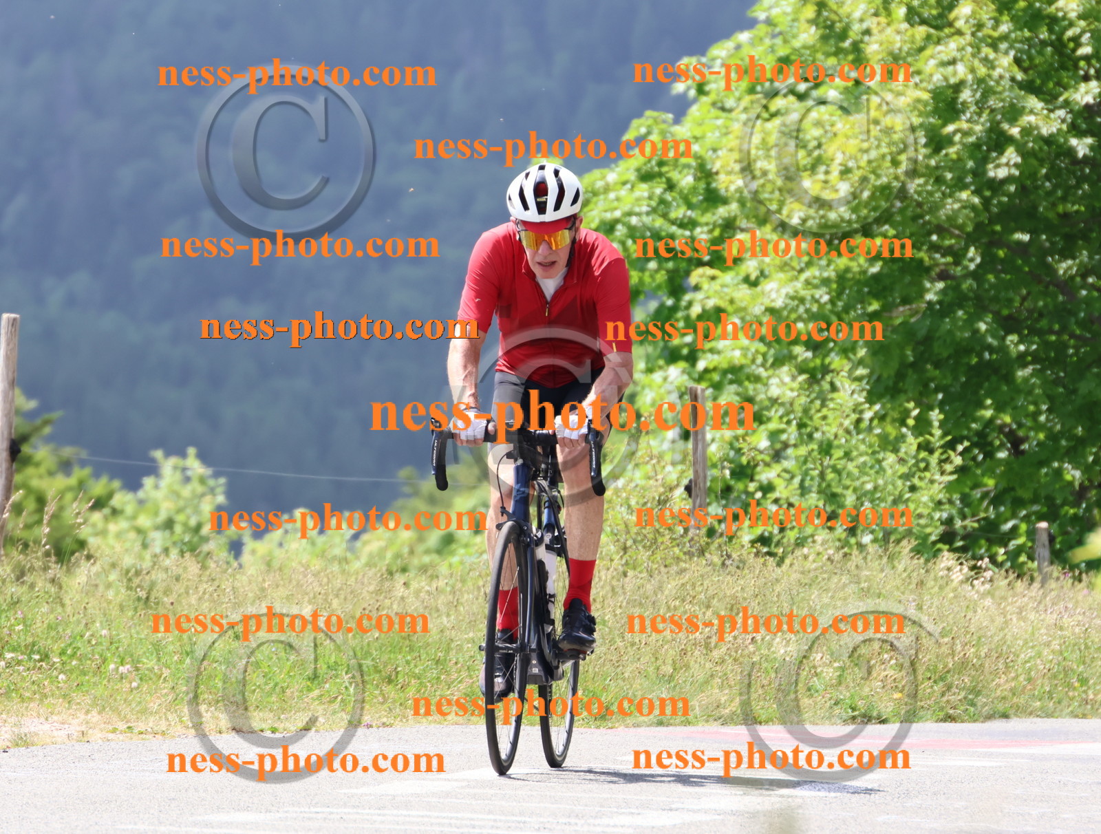 Col du grand Colombier (1865).JPG