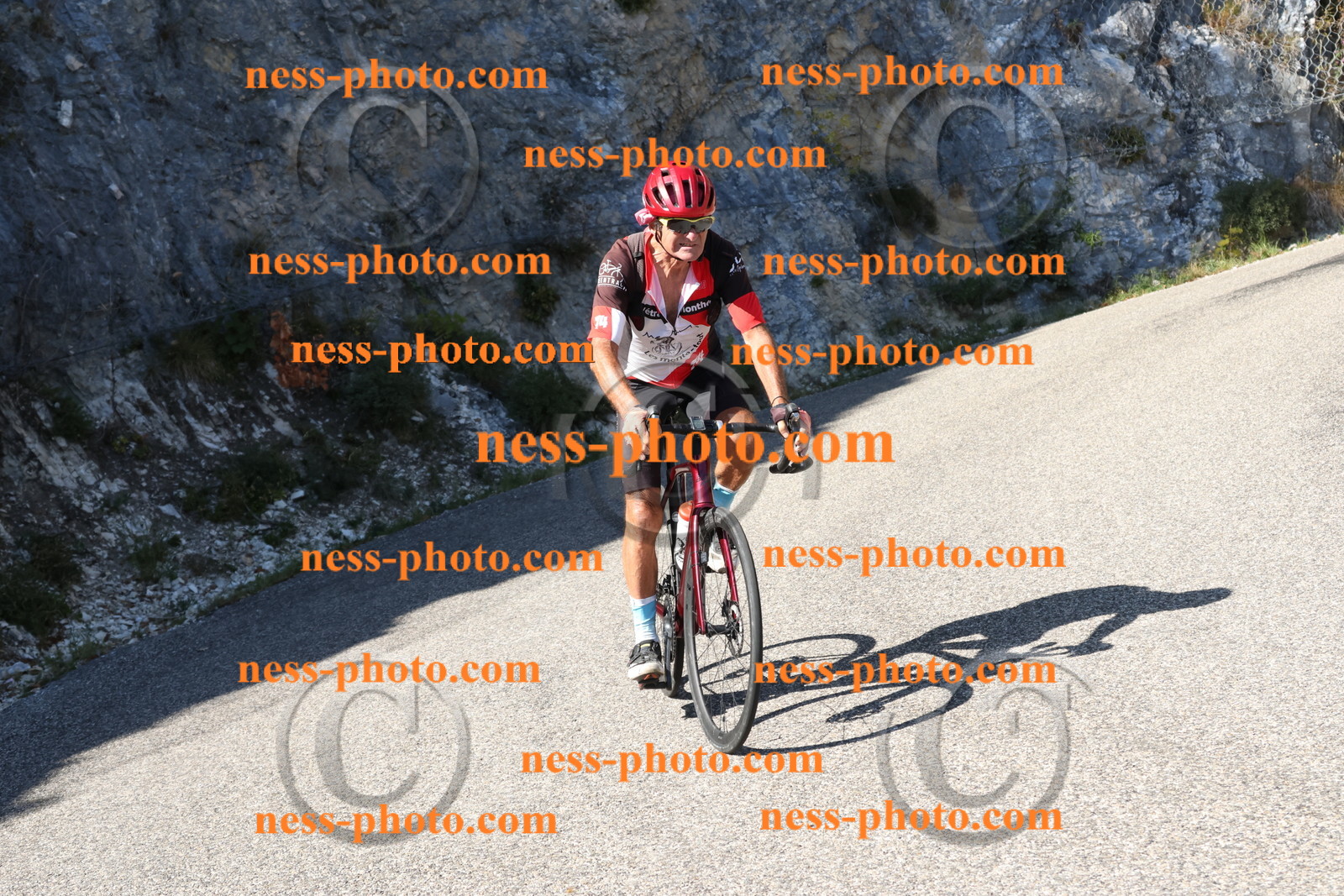 Col du Grand Colombier (500).JPG