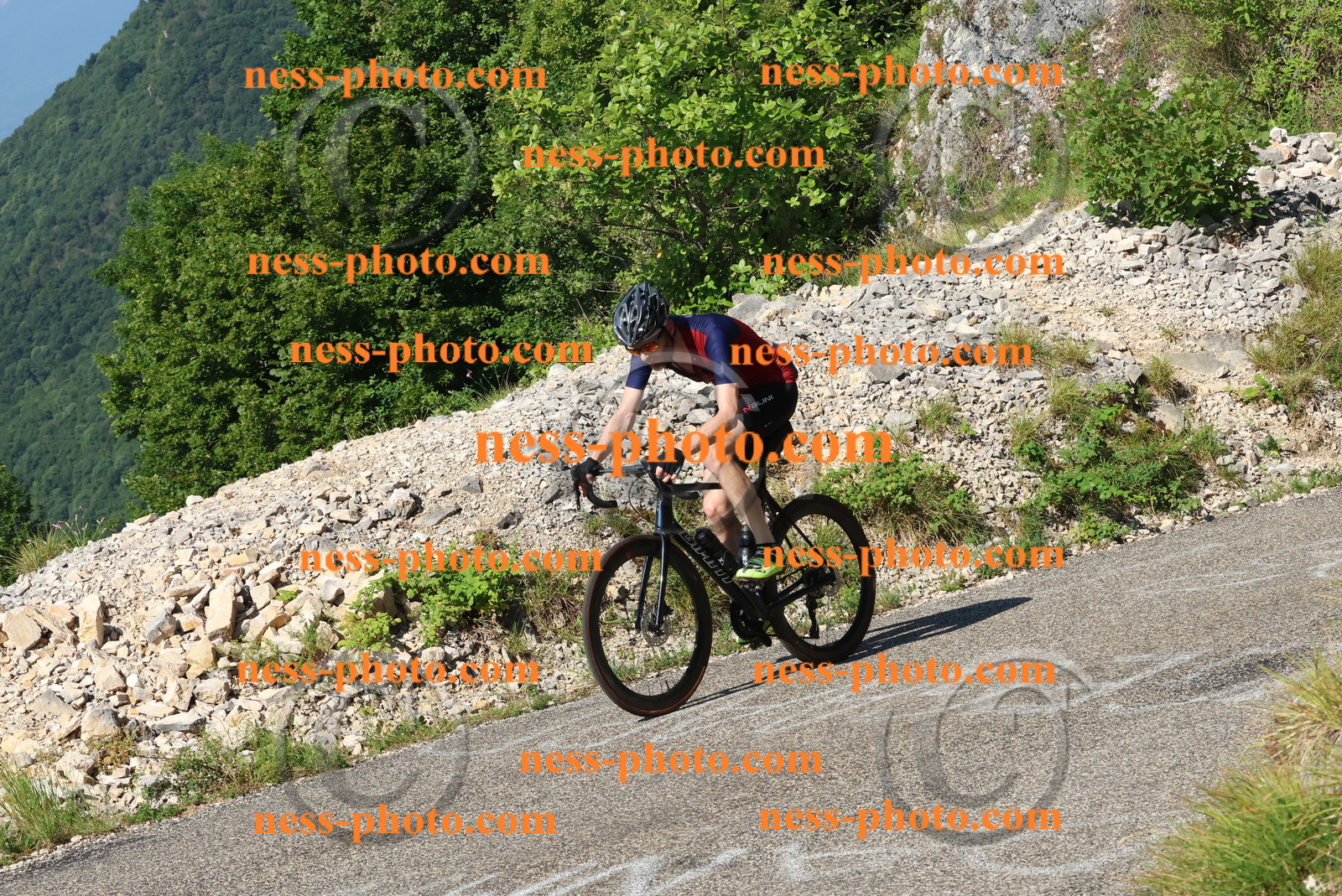 Col du Grand Colombier (173).JPG