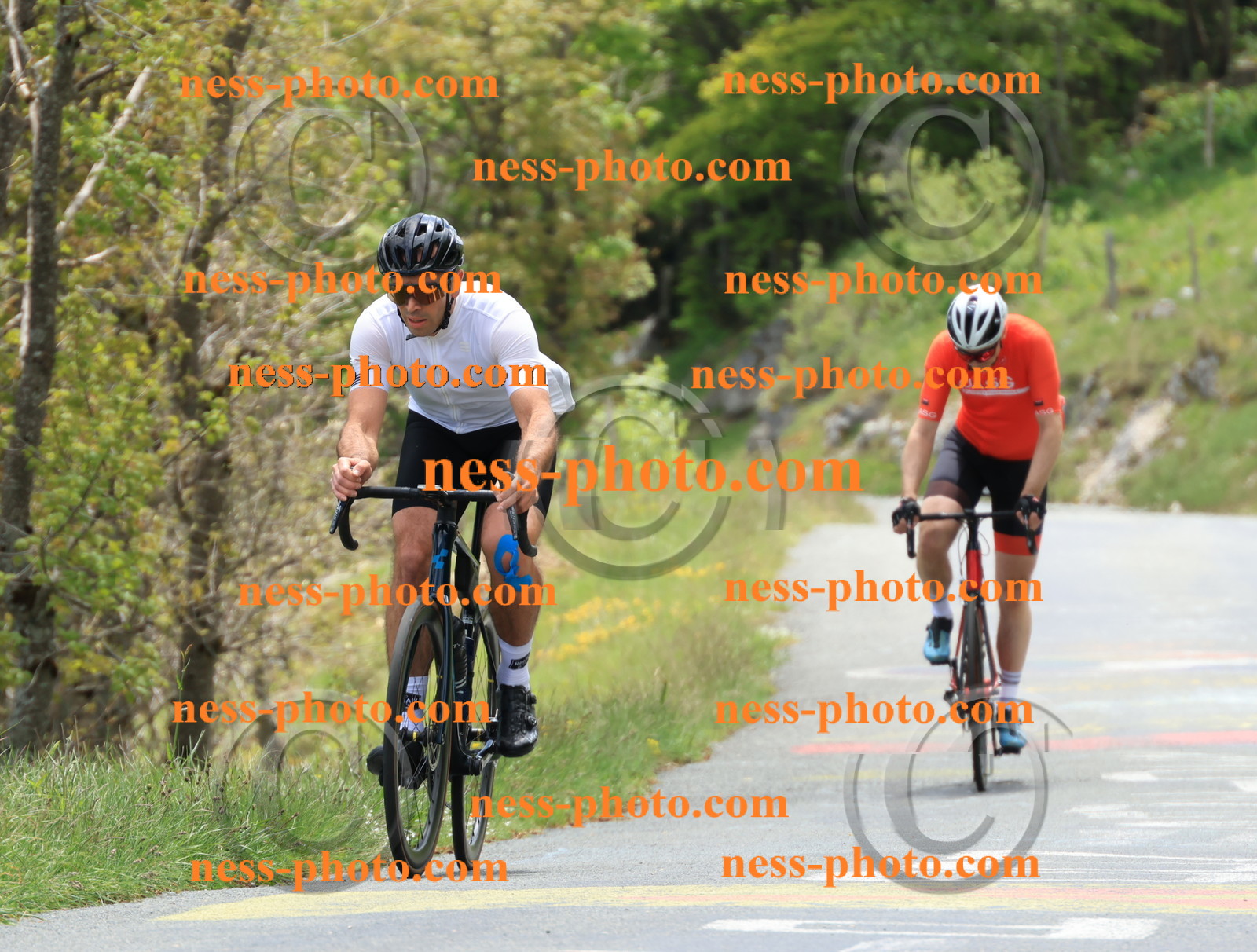 Col du Grand Colombier (504).JPG