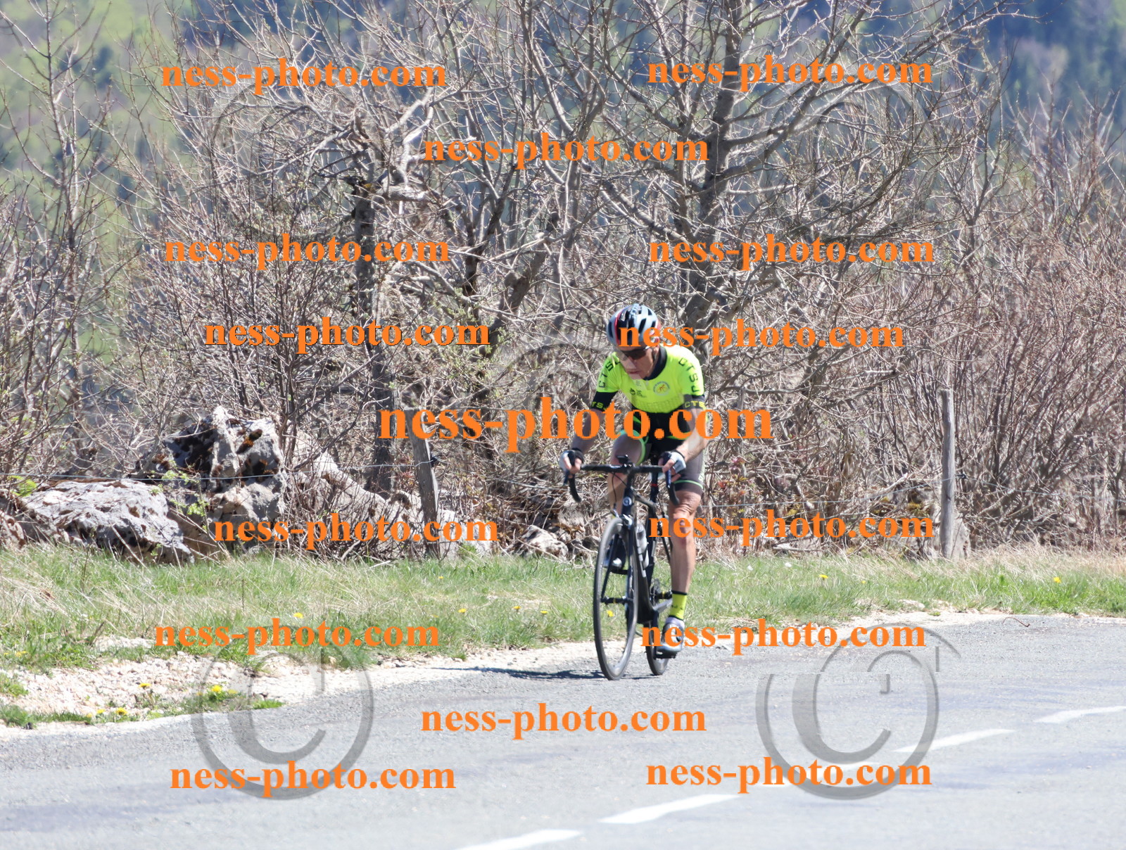 Col du Grand Colombier (898).JPG