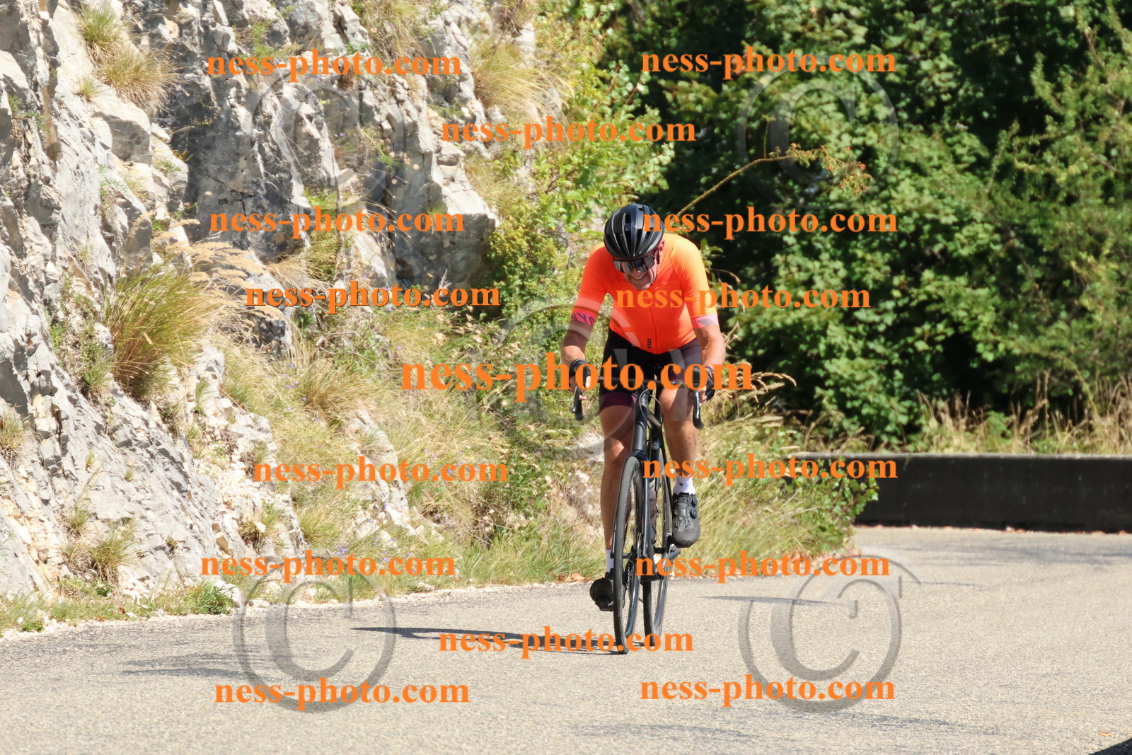 Col du Grand Colombier (629).JPG