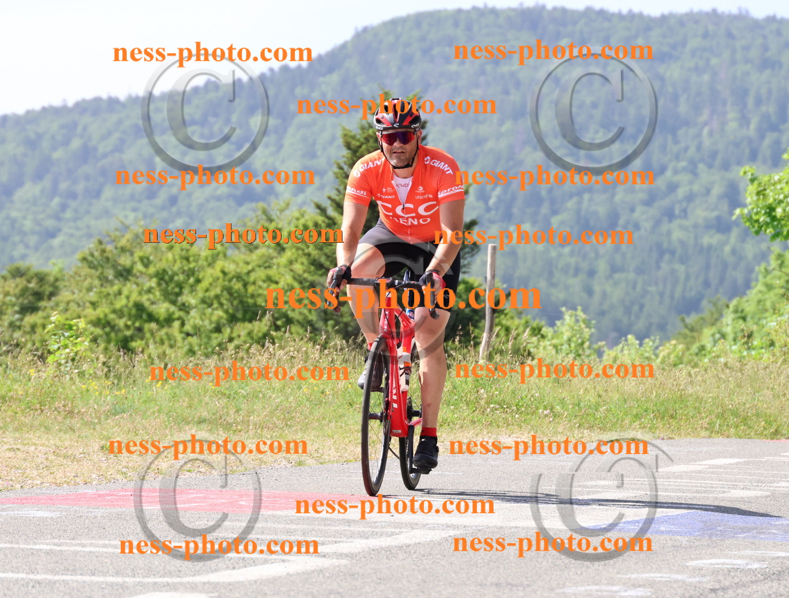 Col du grand Colombier (628).JPG