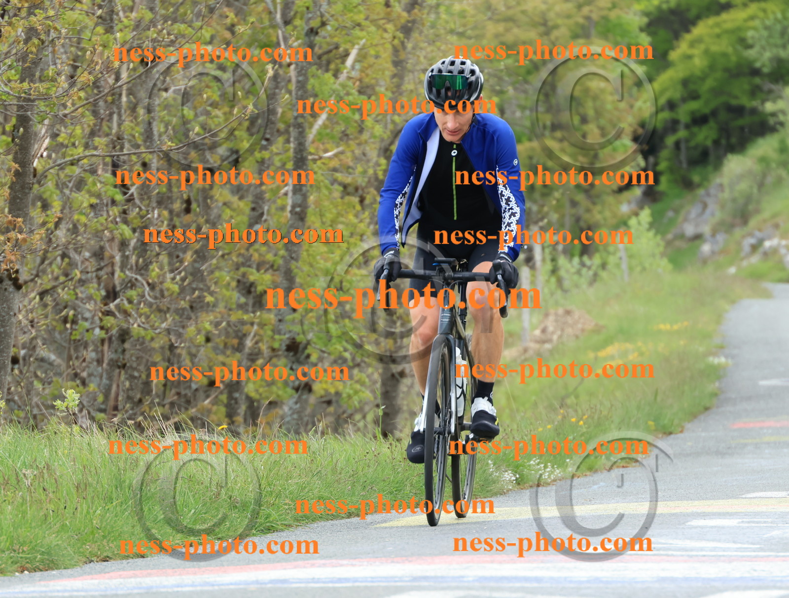 Col du Grand Colombier (519).JPG