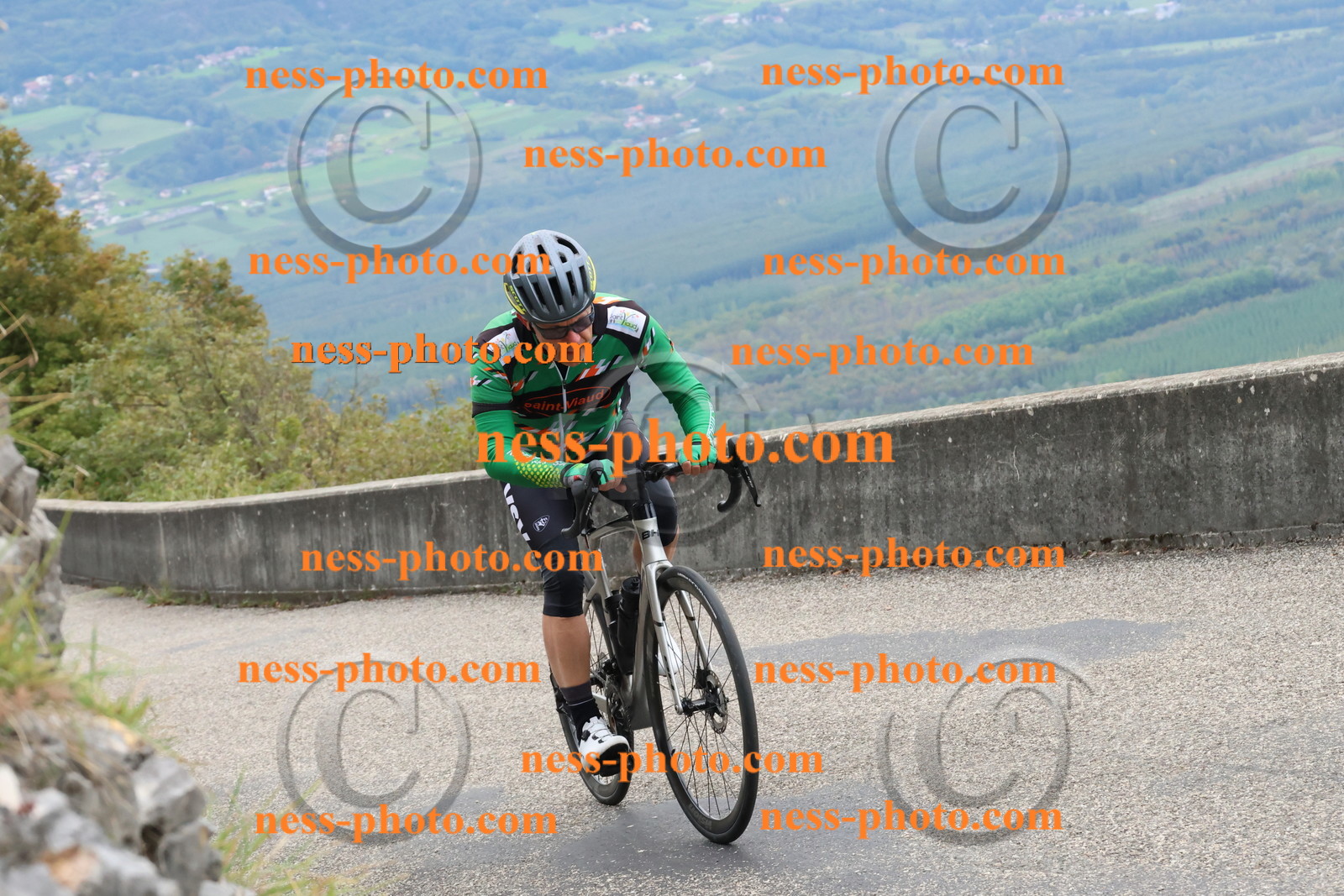 Col du Grand Colombier (1085).JPG