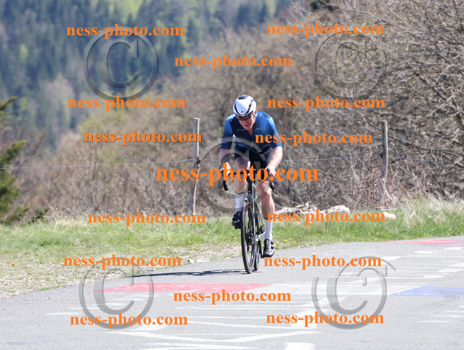 Col du Grand Colombier (977).JPG