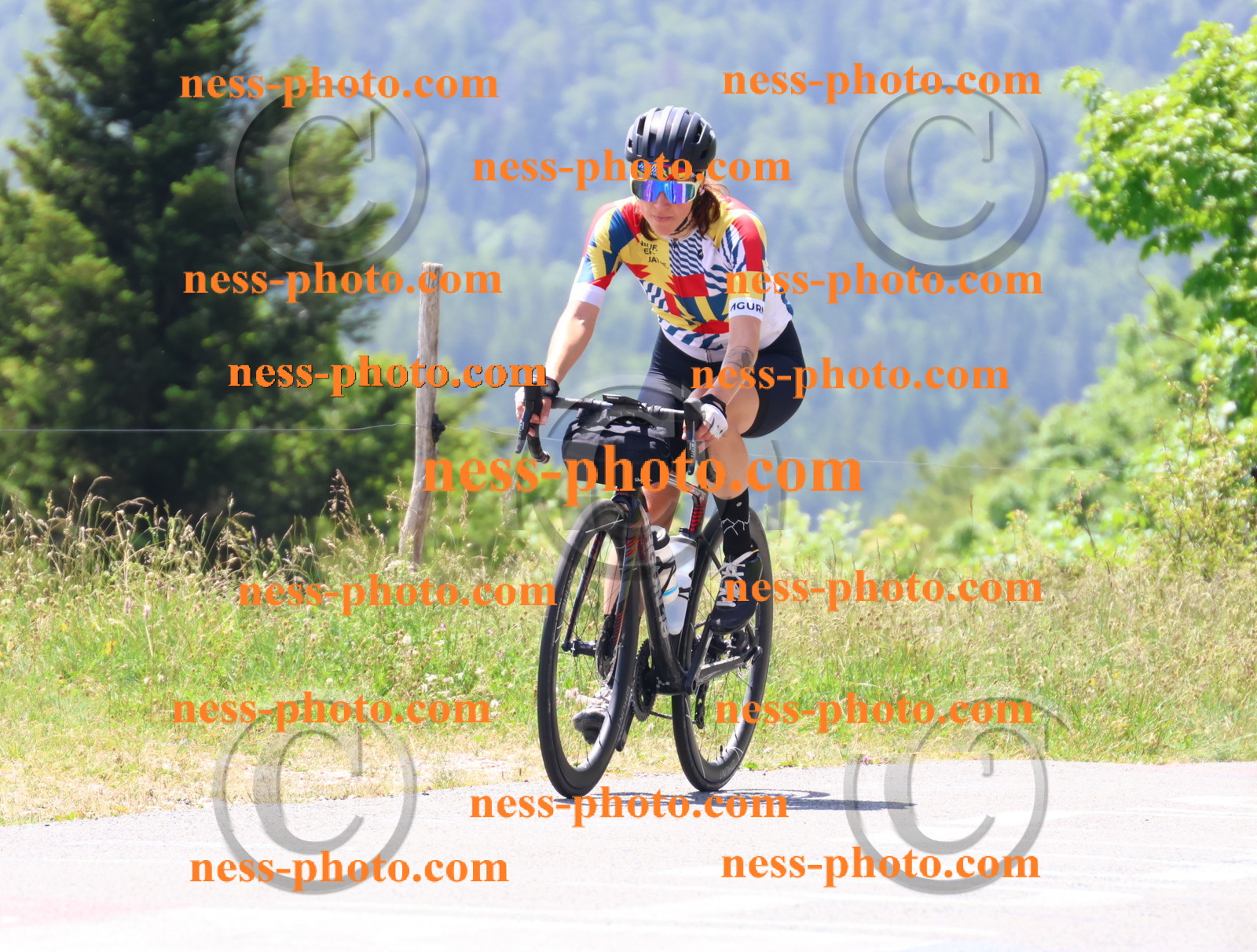 Col du grand Colombier (2586).JPG