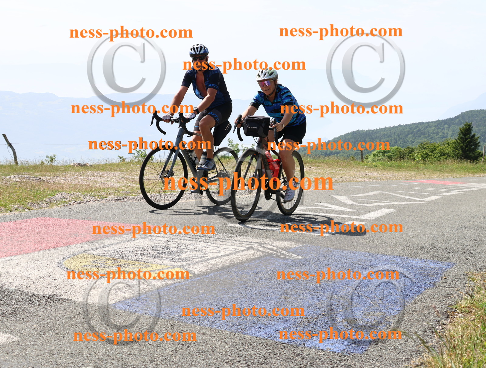 Col du grand Colombier (1247).JPG