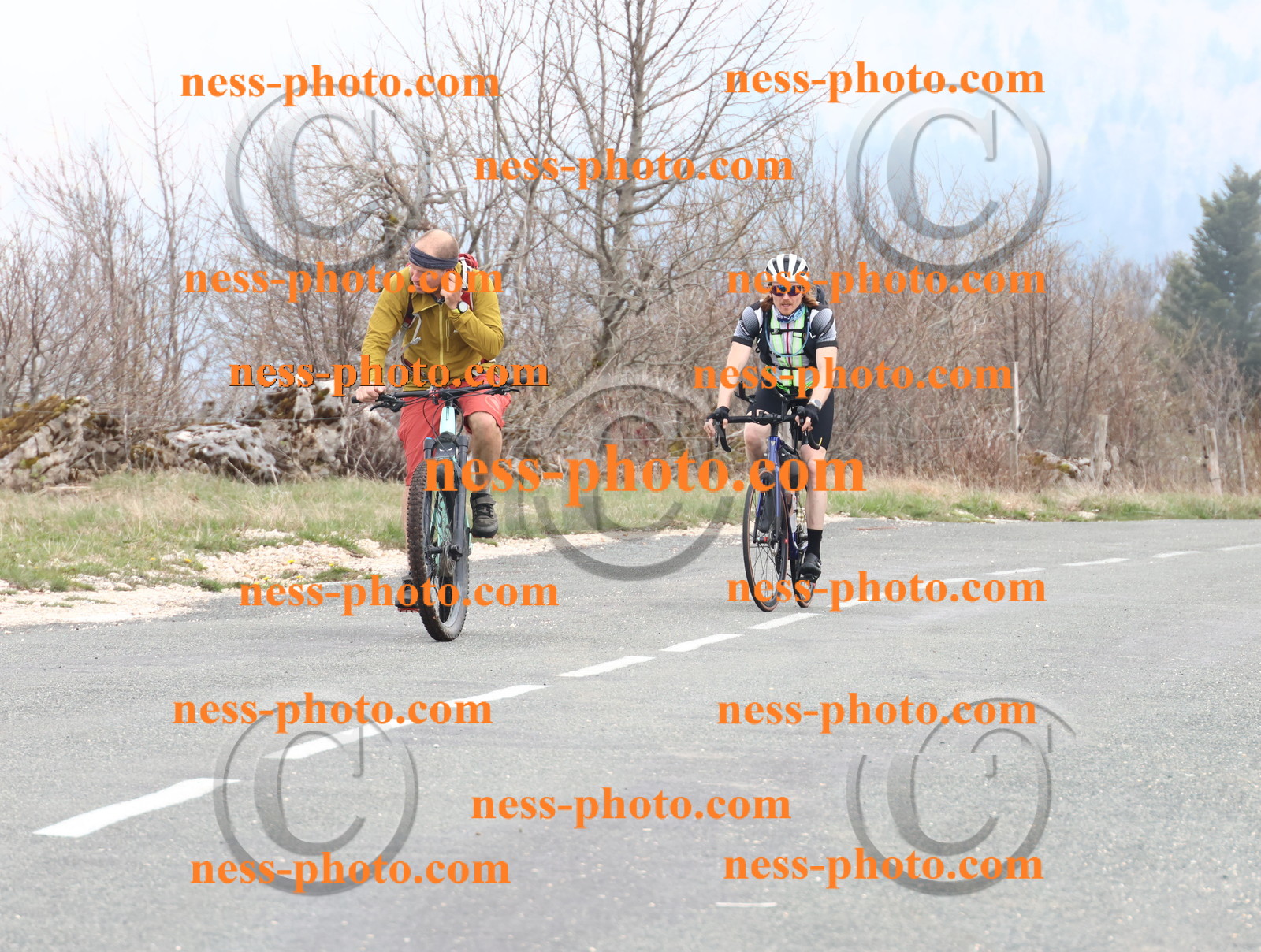 Col du Grand Colombier (90).JPG