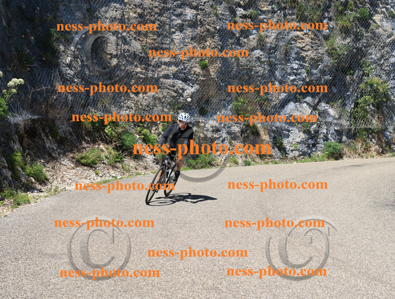 Col du Grand Colombier (681).JPG