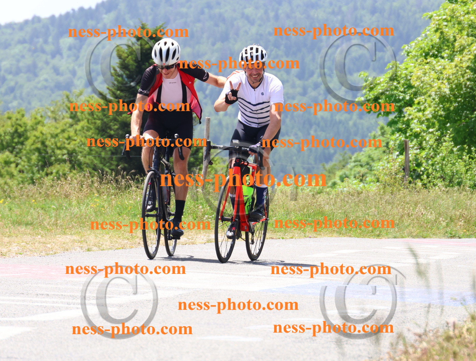 Col du grand Colombier (2595).JPG