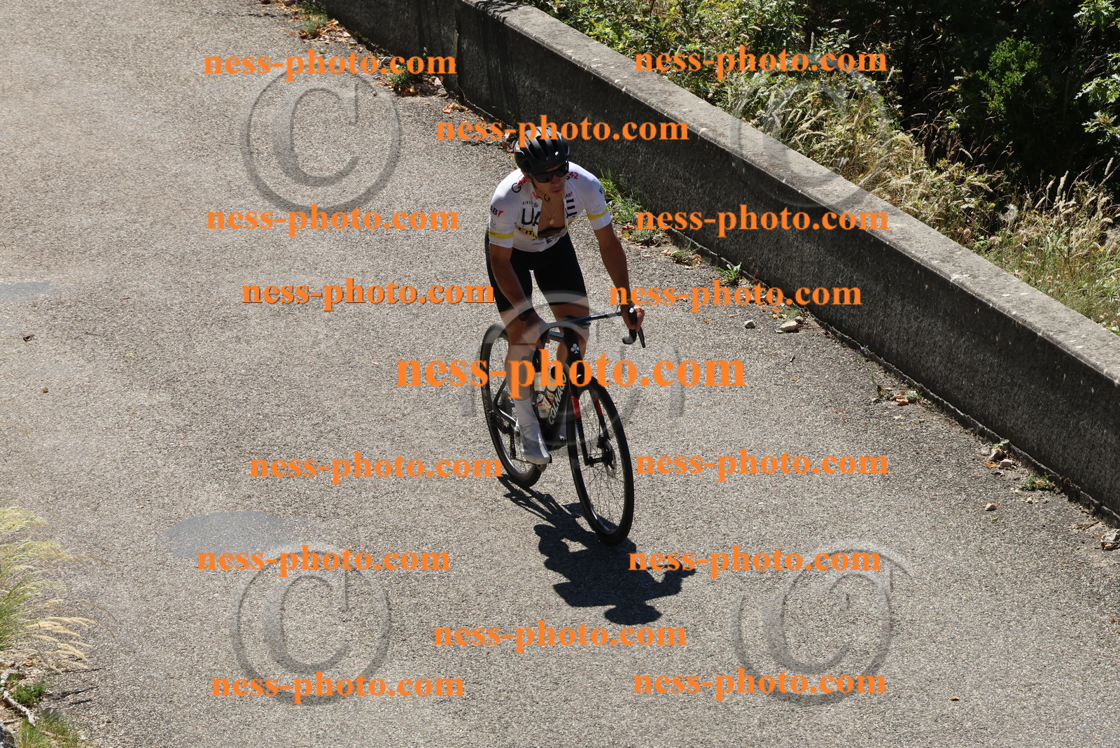 Col du Grand Colombier (384).JPG